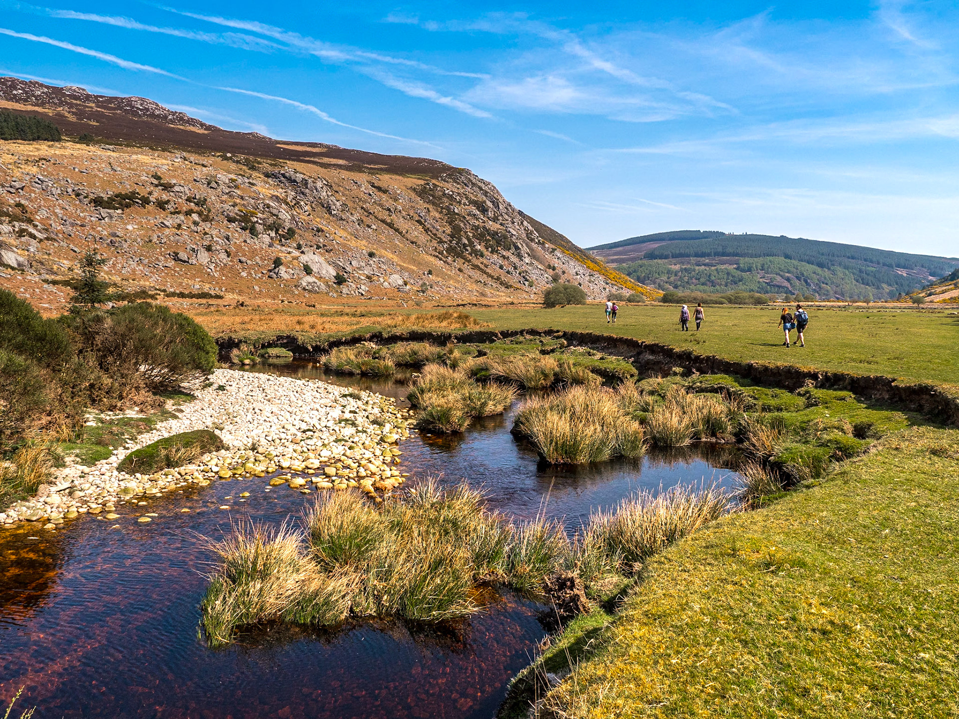 Inchavore River, Co Wicklow, 21 Apr 2019