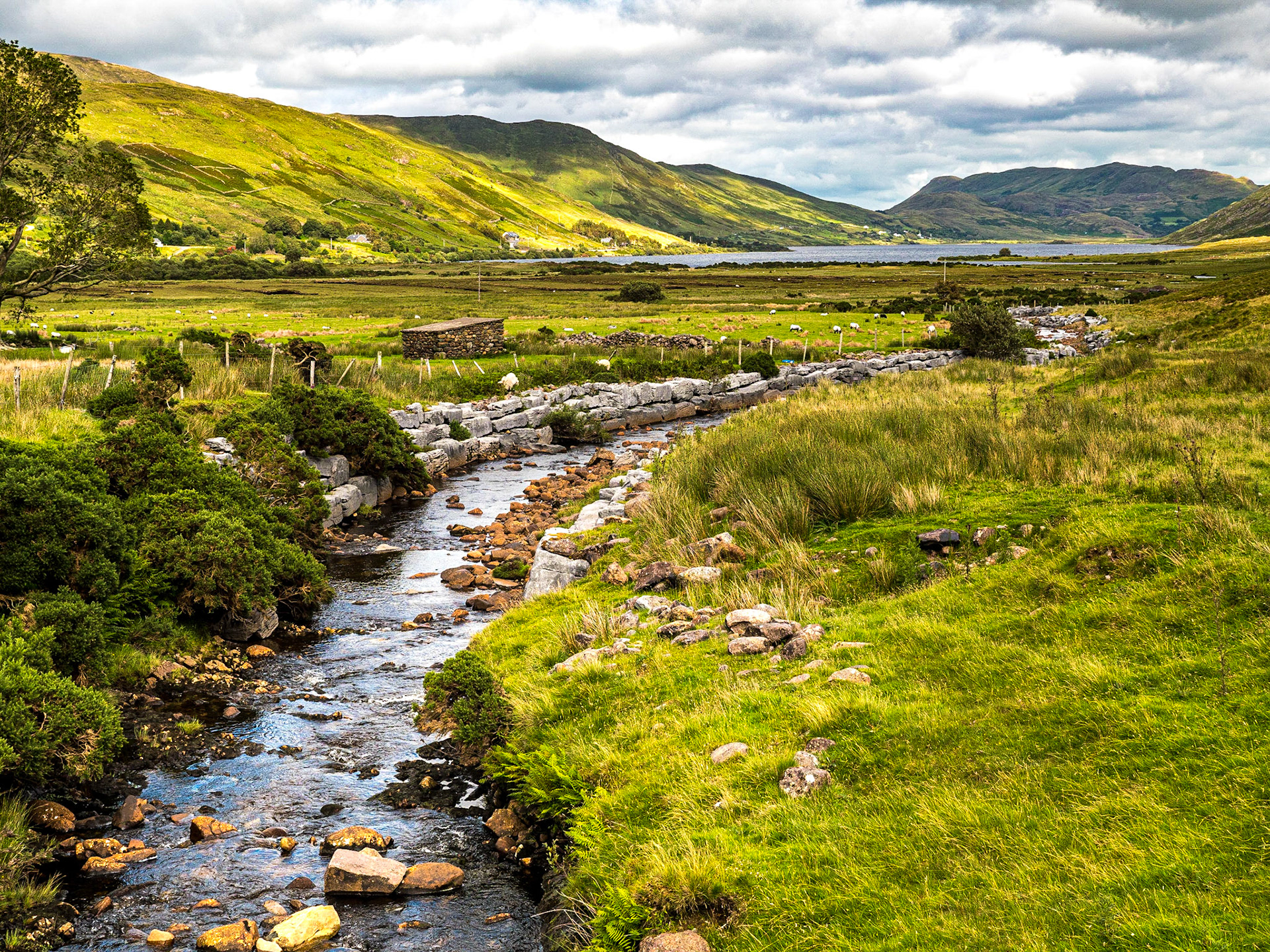 Near Lough Na Fooey, Co Galway, 28 Jul 2020