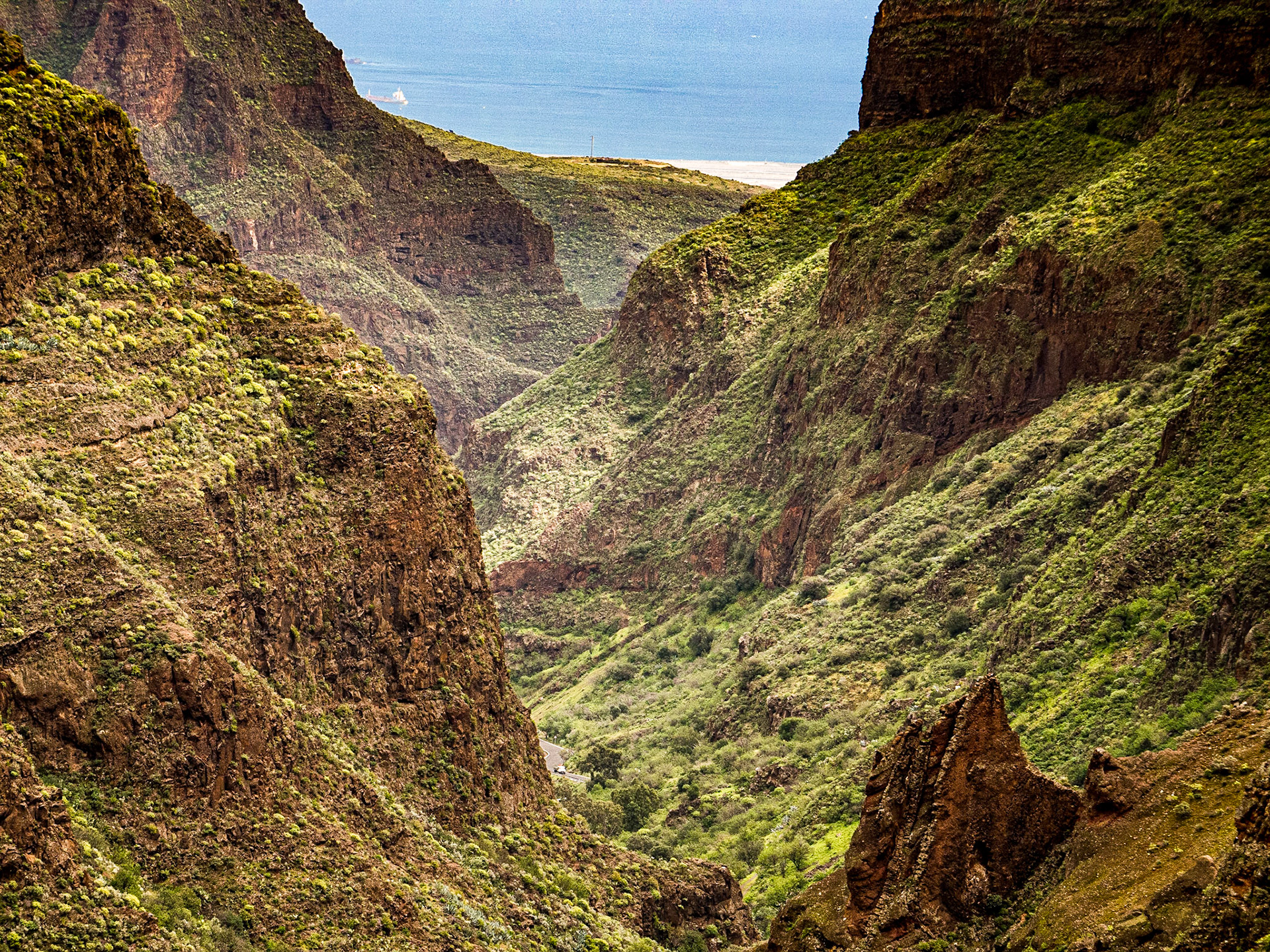 Barranco de Guayadeque, Gran Canaria, 22 Feb 2016