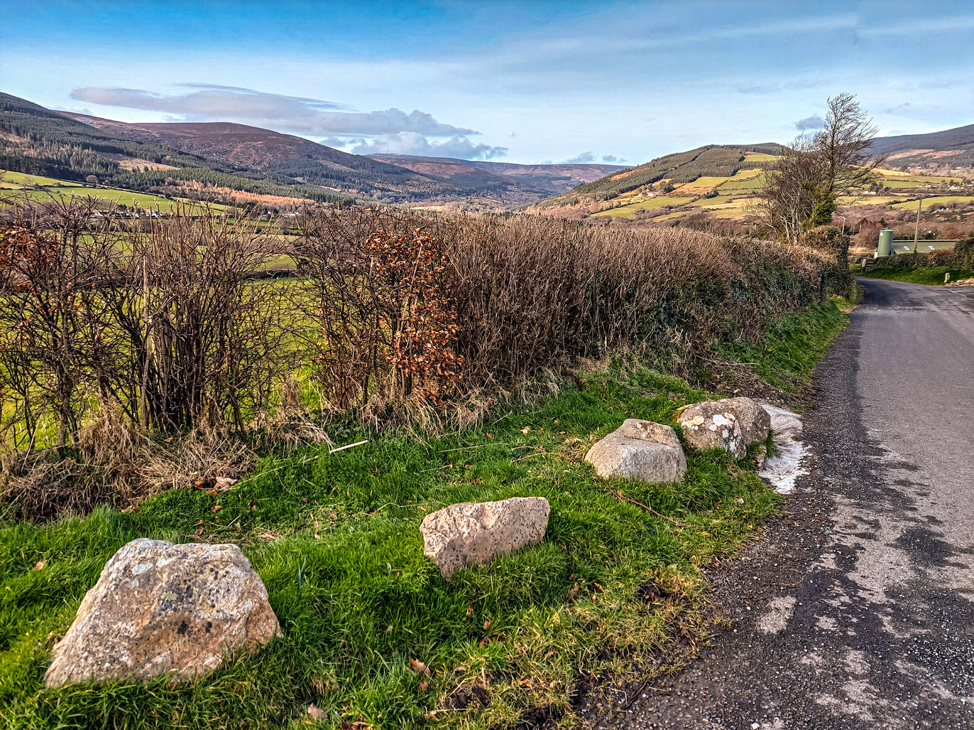Old Long Hill, near Enniskerry, Co Wicklow, 25 Feb 2022