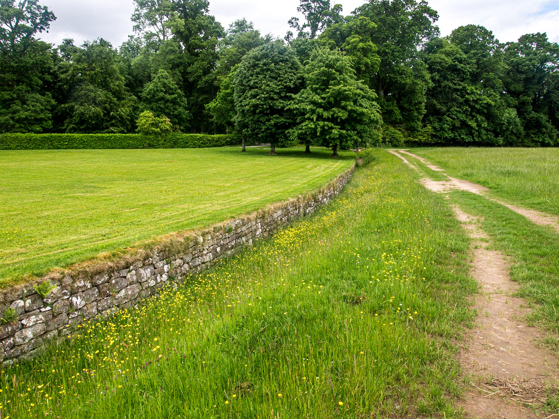 Florence Court, Fermanagh, 19 Jun 2013