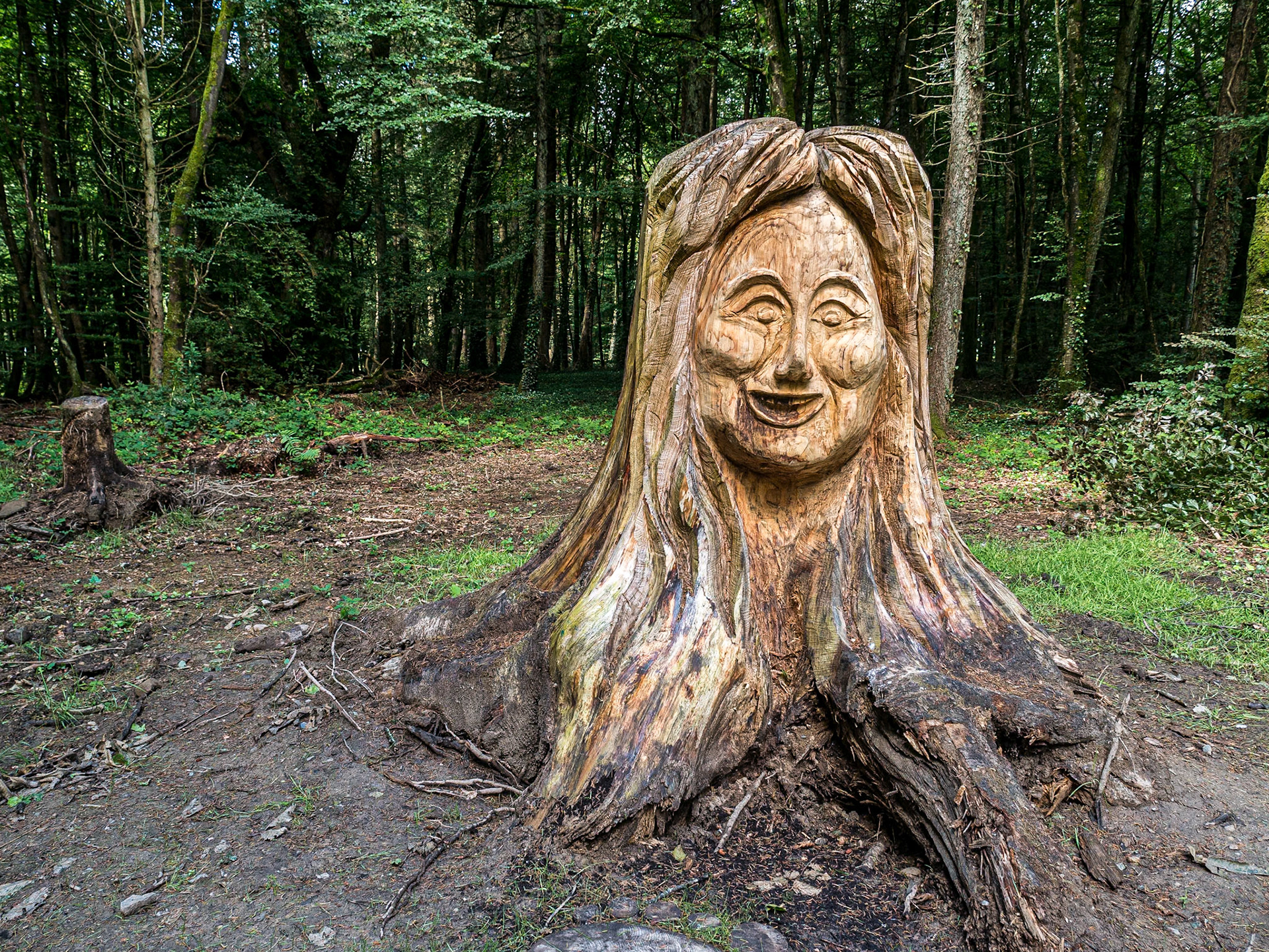 Grounds of Kinnitty Castle, Co Offaly, 21 Jul 2017