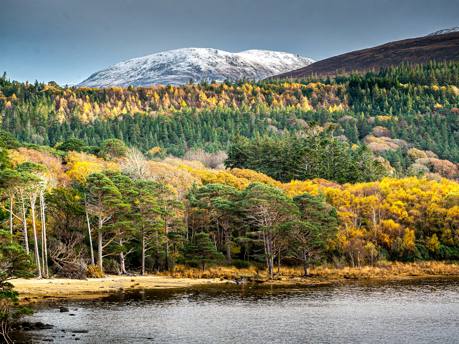 Old boathouse peninsula, Muckross estate, Killarney, 21 Nov 2016