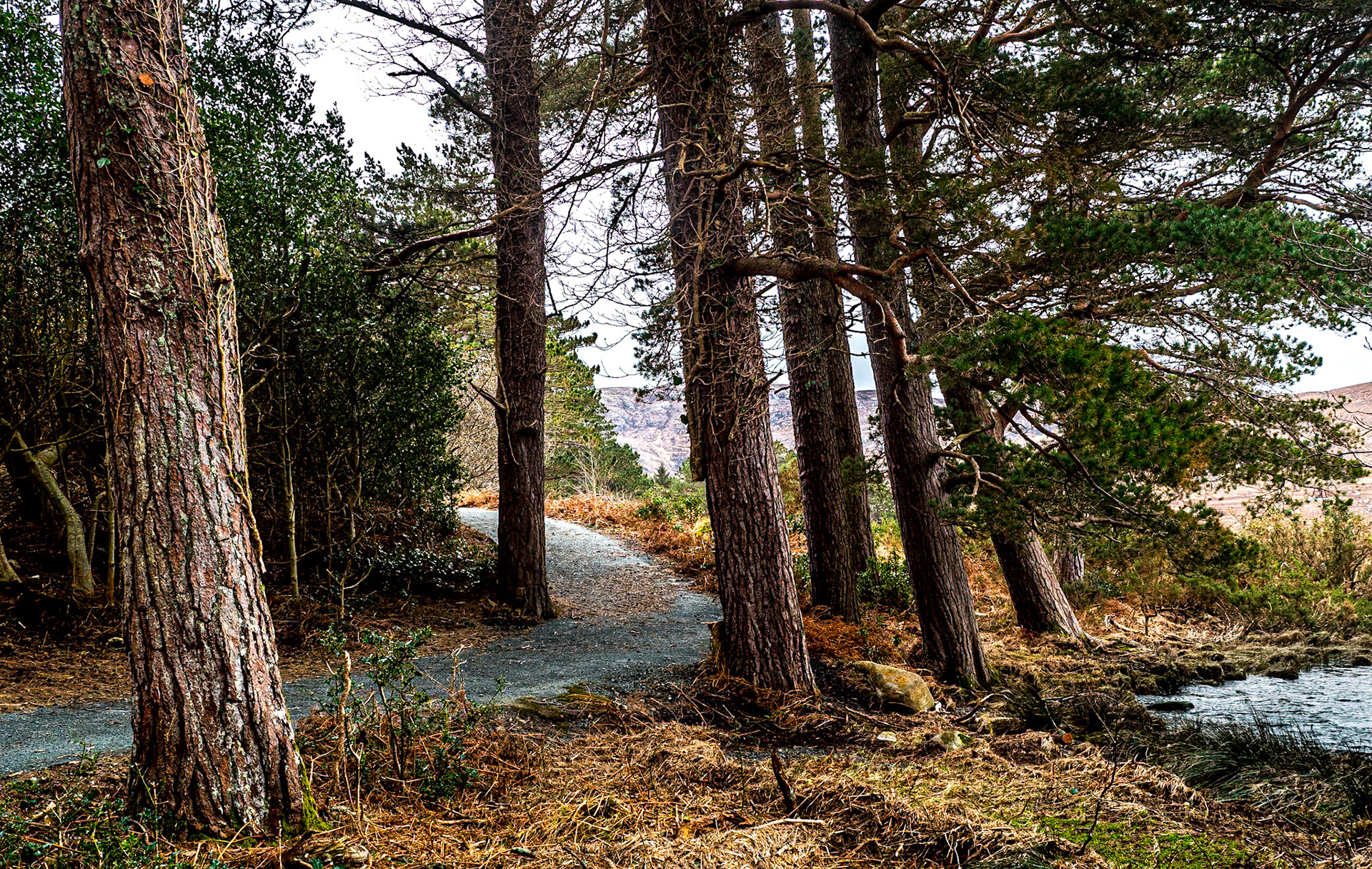 Glenveagh National Park, Co Donegal, 14 Mar 2020