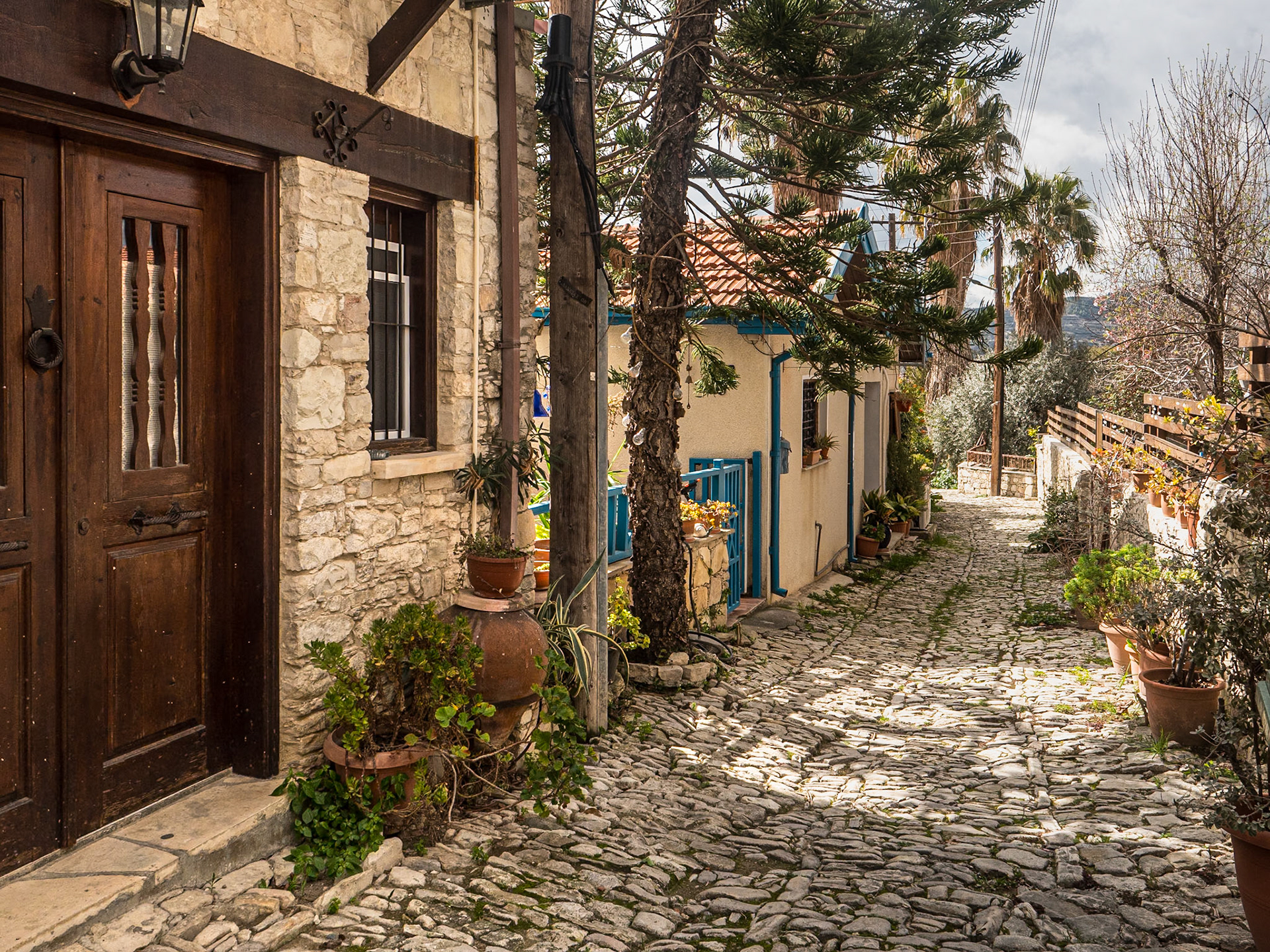 Laneia, Cyprus, 22 Feb 2025