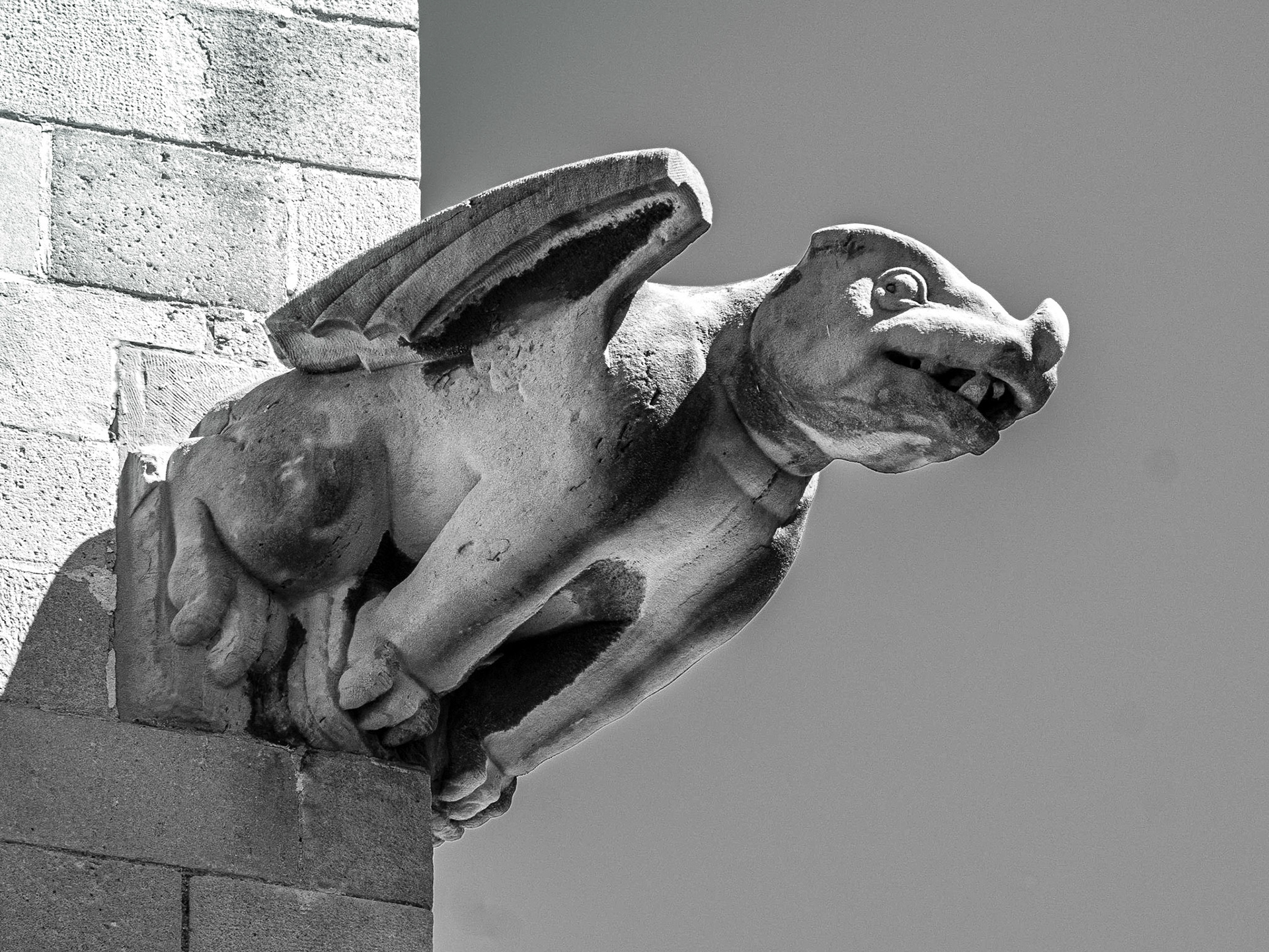 Gargoyles, Barcelona Cathedral, 23 Jun 2016