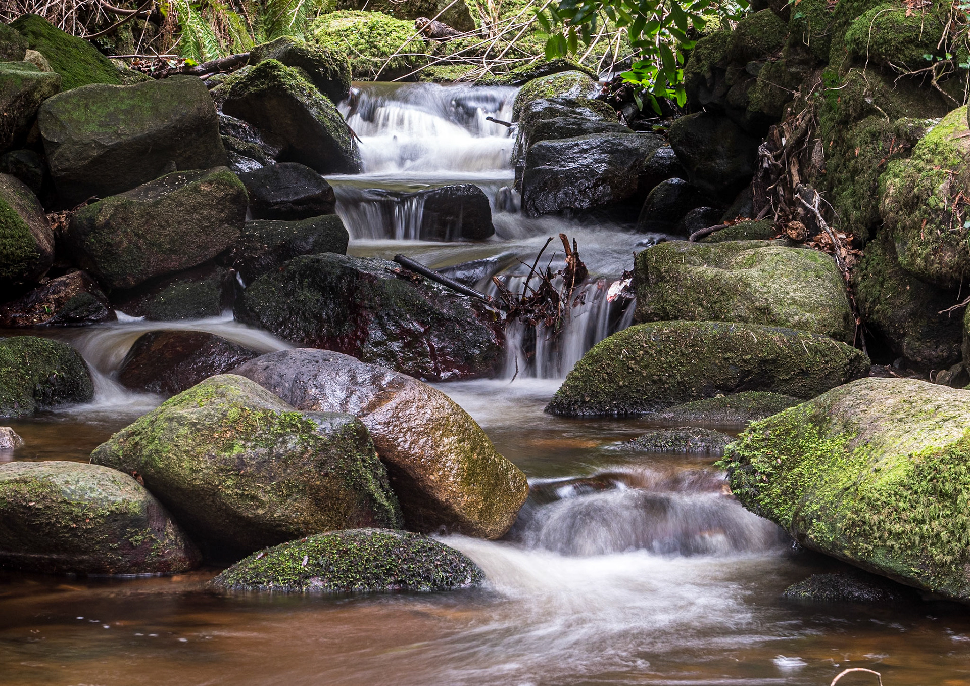 Massy's Estate, Co Dublin, 20 Feb 2024