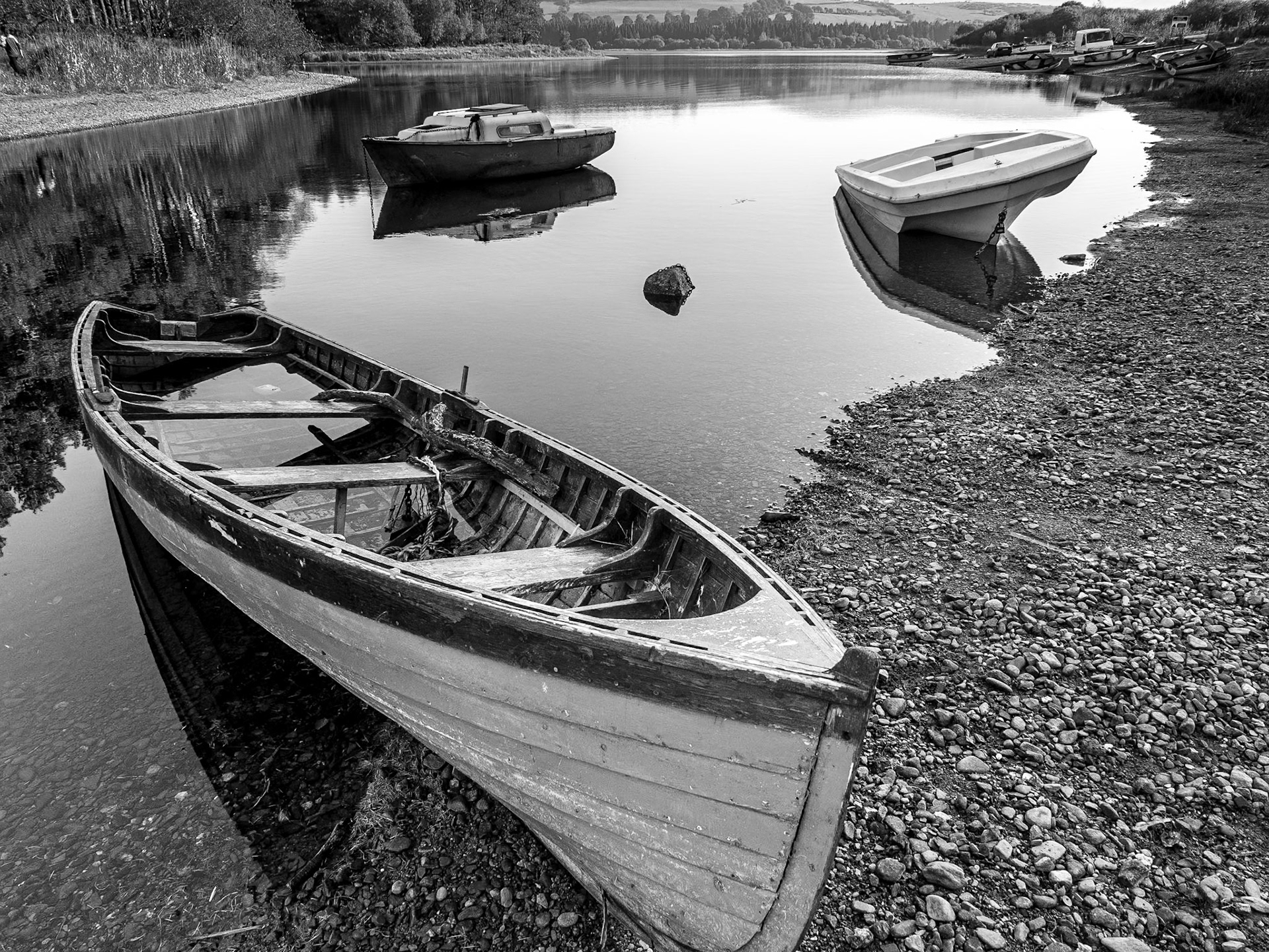 Blessington Lakes, Co Wicklow, 1 Nov 2015