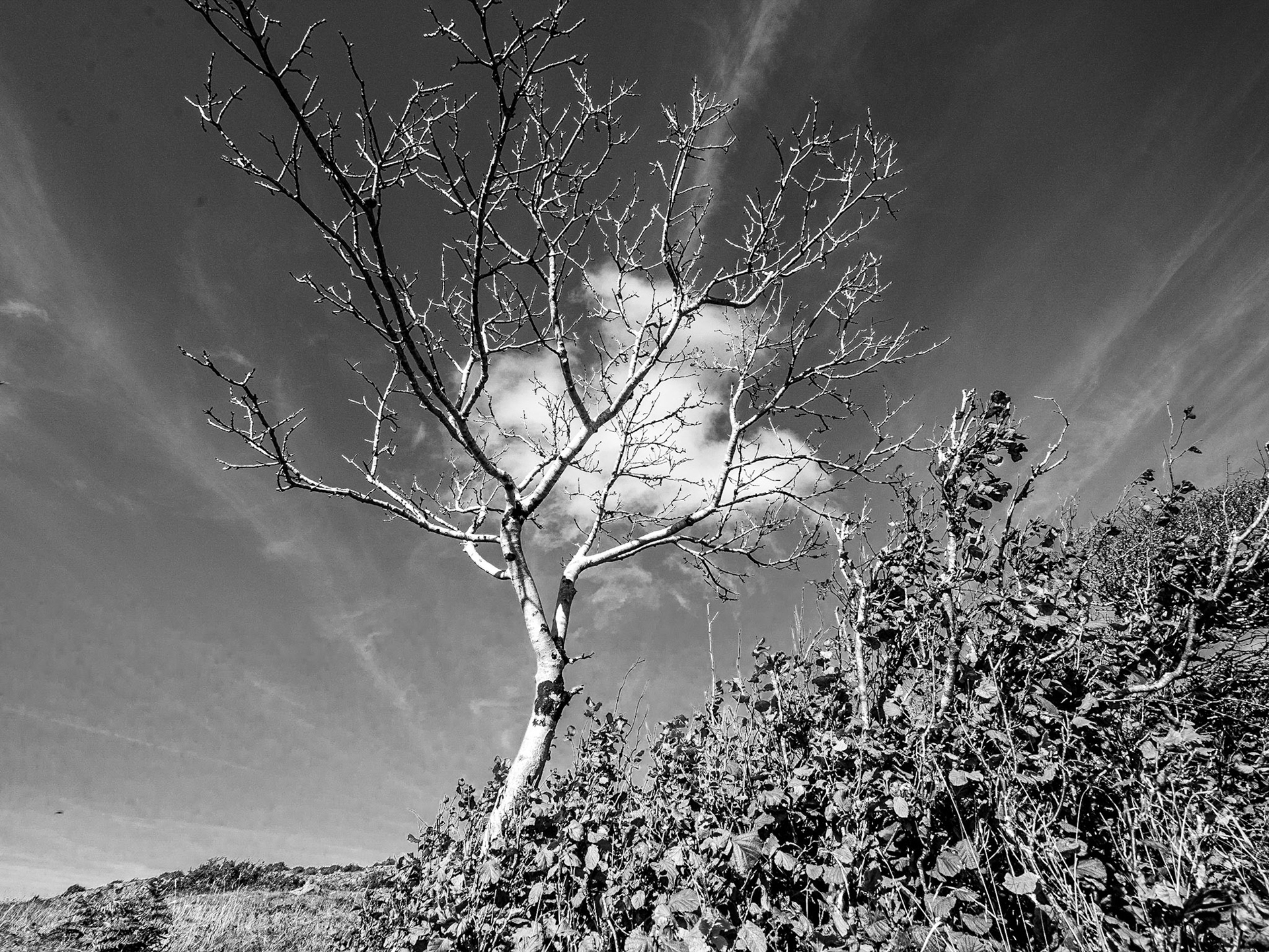 Lough Avalla walk, Burren, Co Clare, 13 Oct 2015