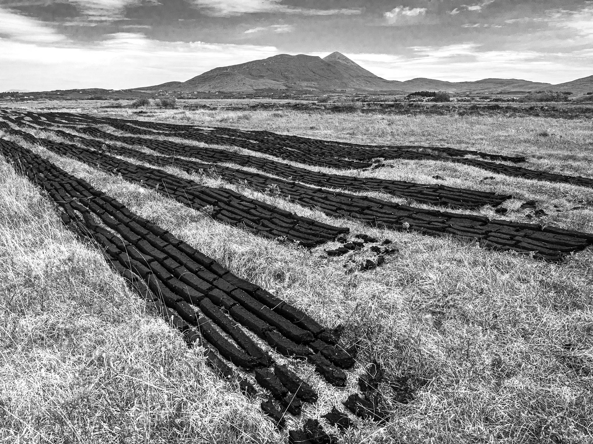 SE of Louisburgh, Co Mayo, 15 May 2019