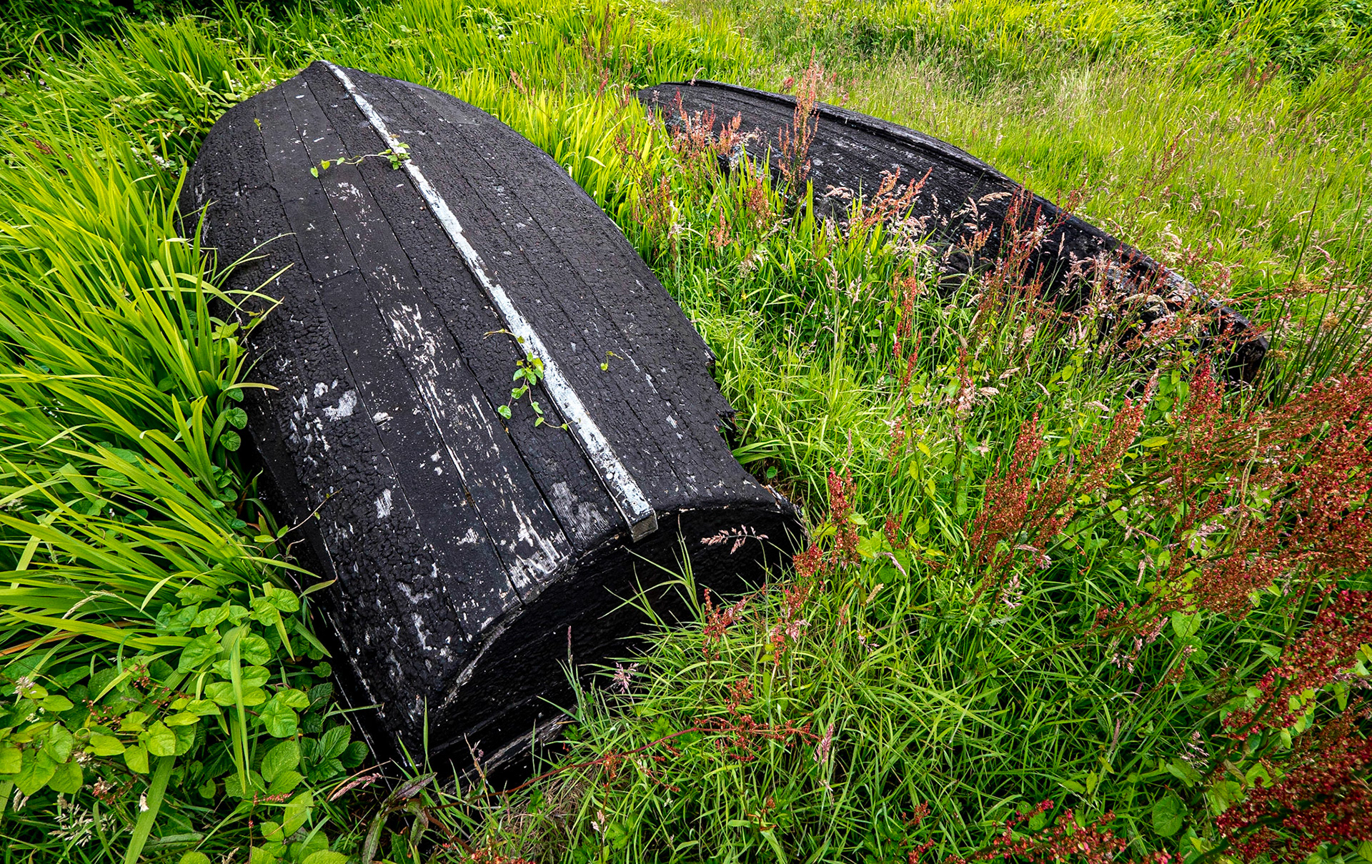 Roundstone, Co Galway, 1 Jul 2021