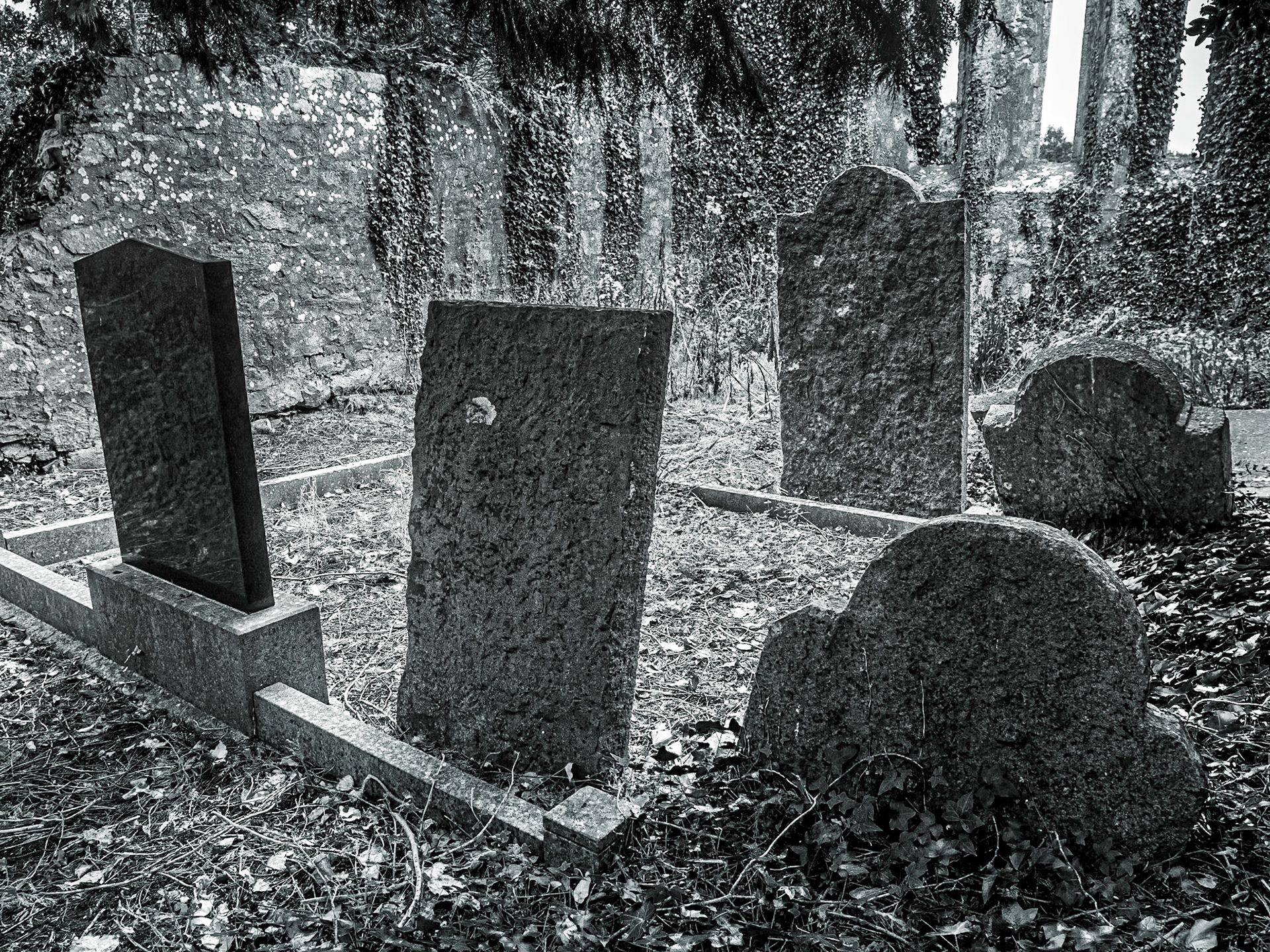 Abbeyderg Augustinian Priory, Co Longford, 8 Aug 2019