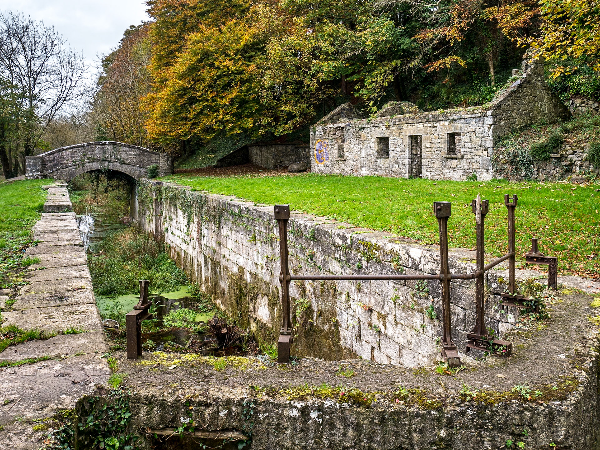 At Rowley's Lock, Boyne Navigation, near Navan, Co Meath, 3 Nov 2017