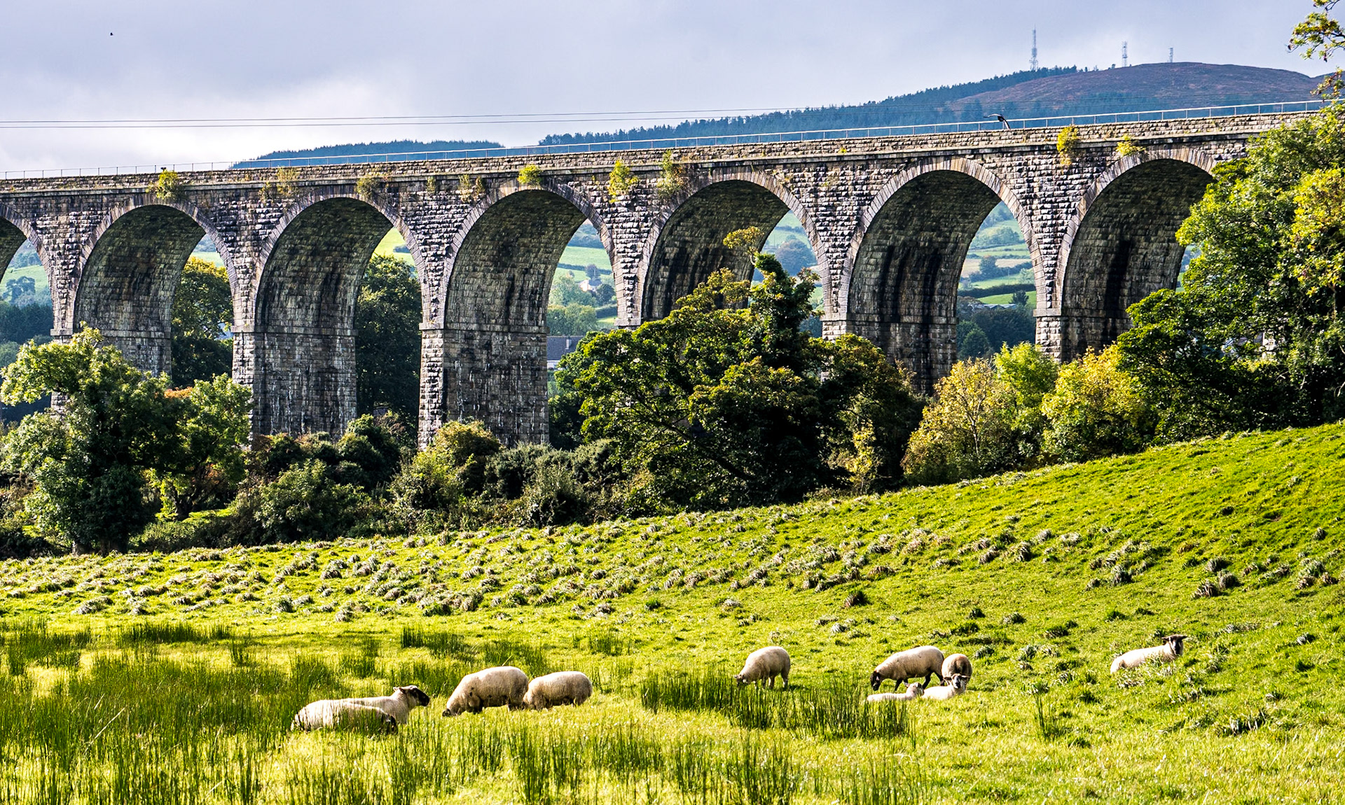 Craigmore Viaduct, Co Armagh, 28 Sep 2017