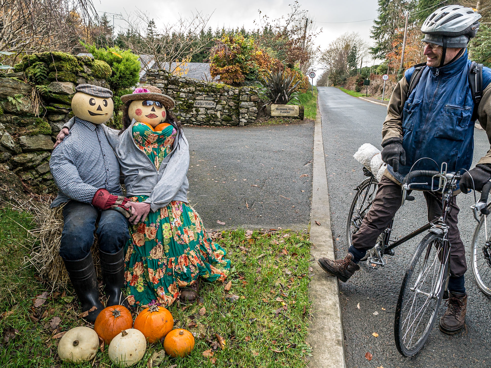 At Blossom Hill Florists, near Aughrim, Co Wicklow, 18 Nov 2014