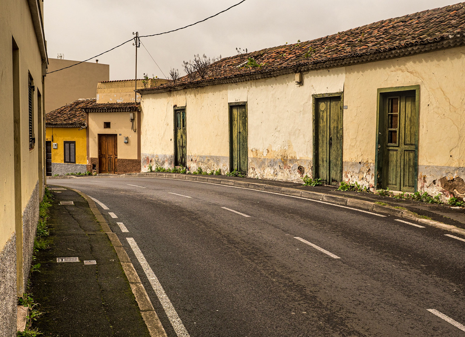 Tacoronte, Tenerife, 29 Jan 2022