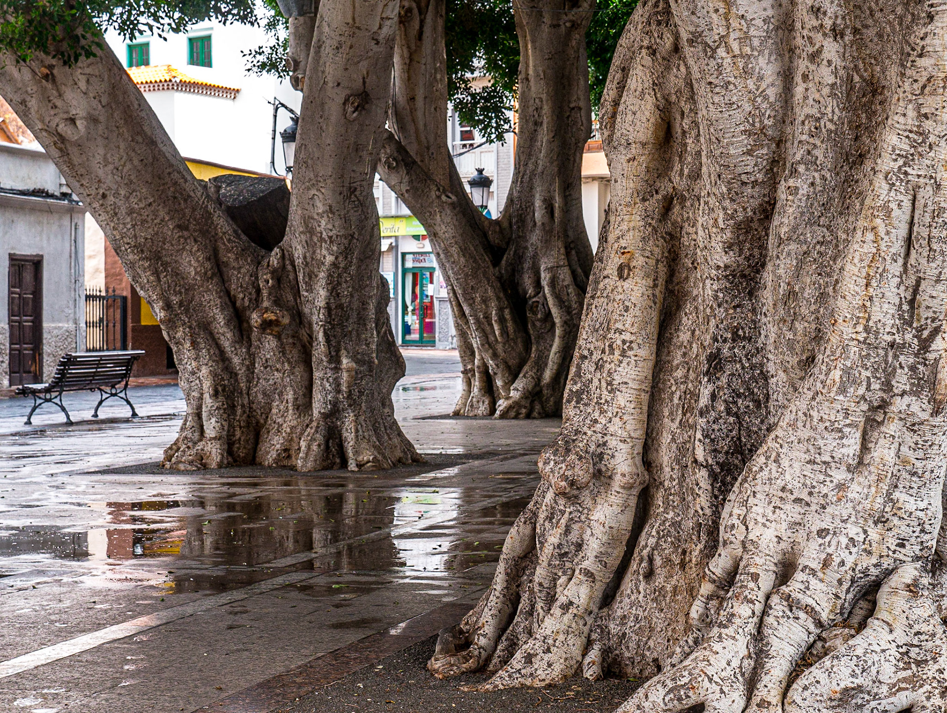 San Sebastián de La Gomera, 31 Jan 2018