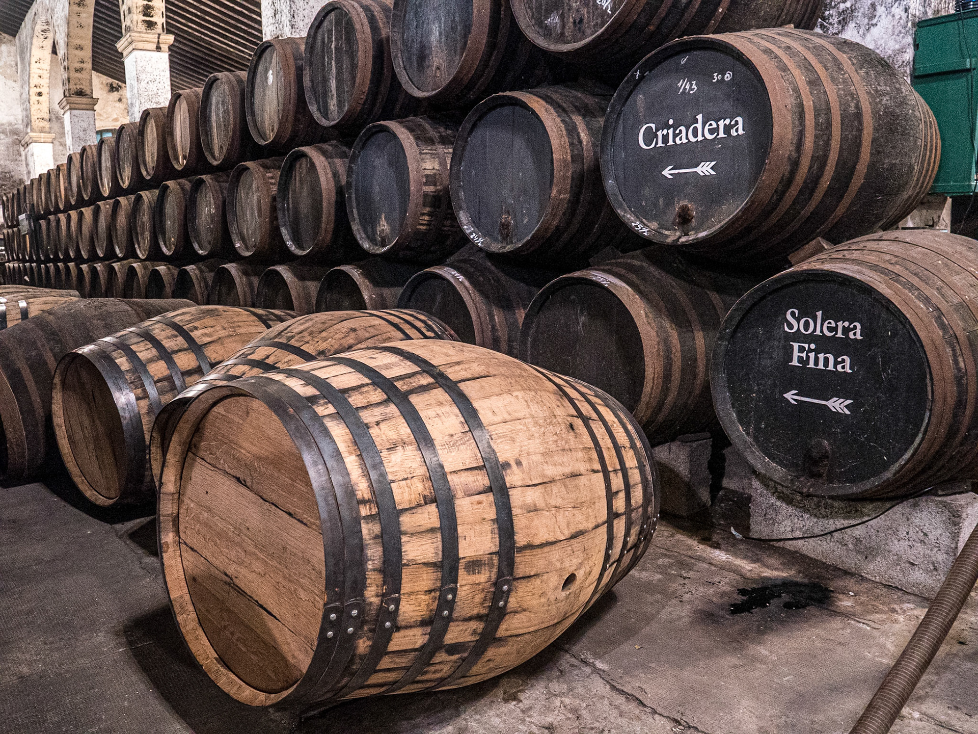 In Bodegas Gutiérrez Colosía, El Puerto de Sta María, Spain, 13 Apr 2023