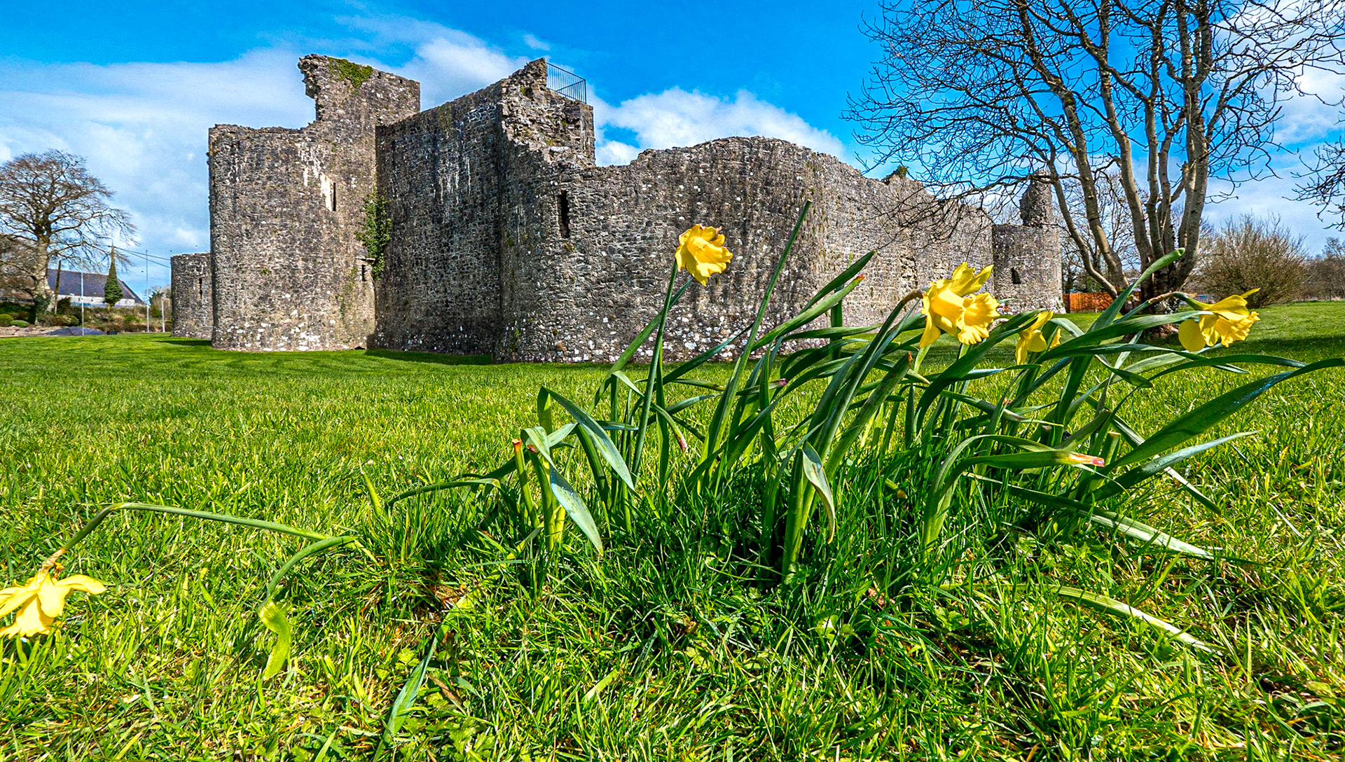 Ballymote Castle, Co Sligo, 3 Apr 2019