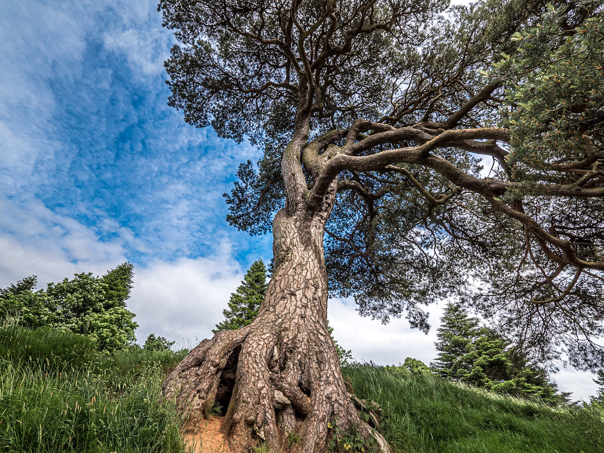 Sir Thomas and Lady Dixon Park, Co Antrim,14 Jun 2021