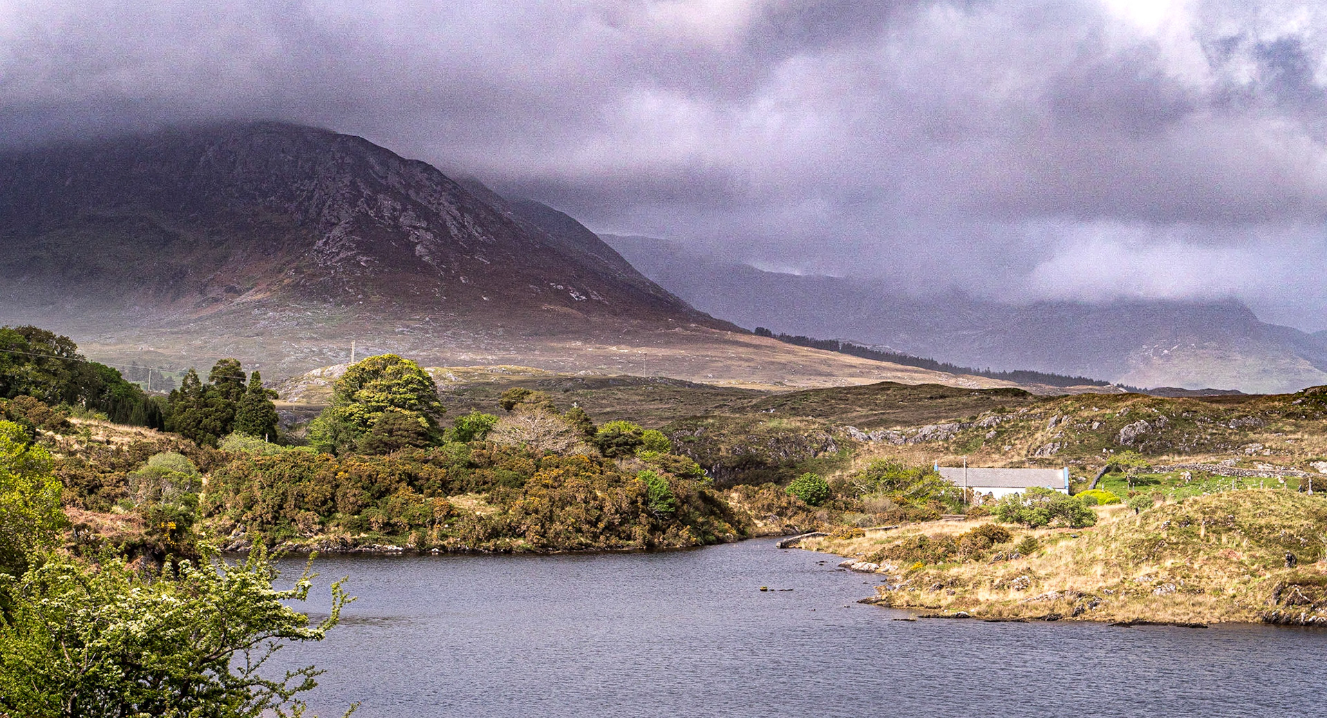 Near Ballinafad, Co Galway, 8 May 2023