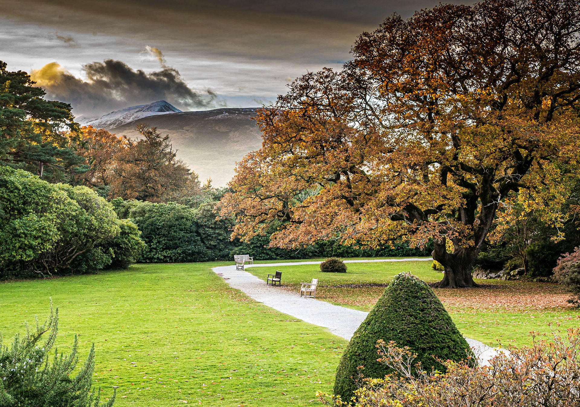 Muckross estate, Killarney, 21 Nov 2016