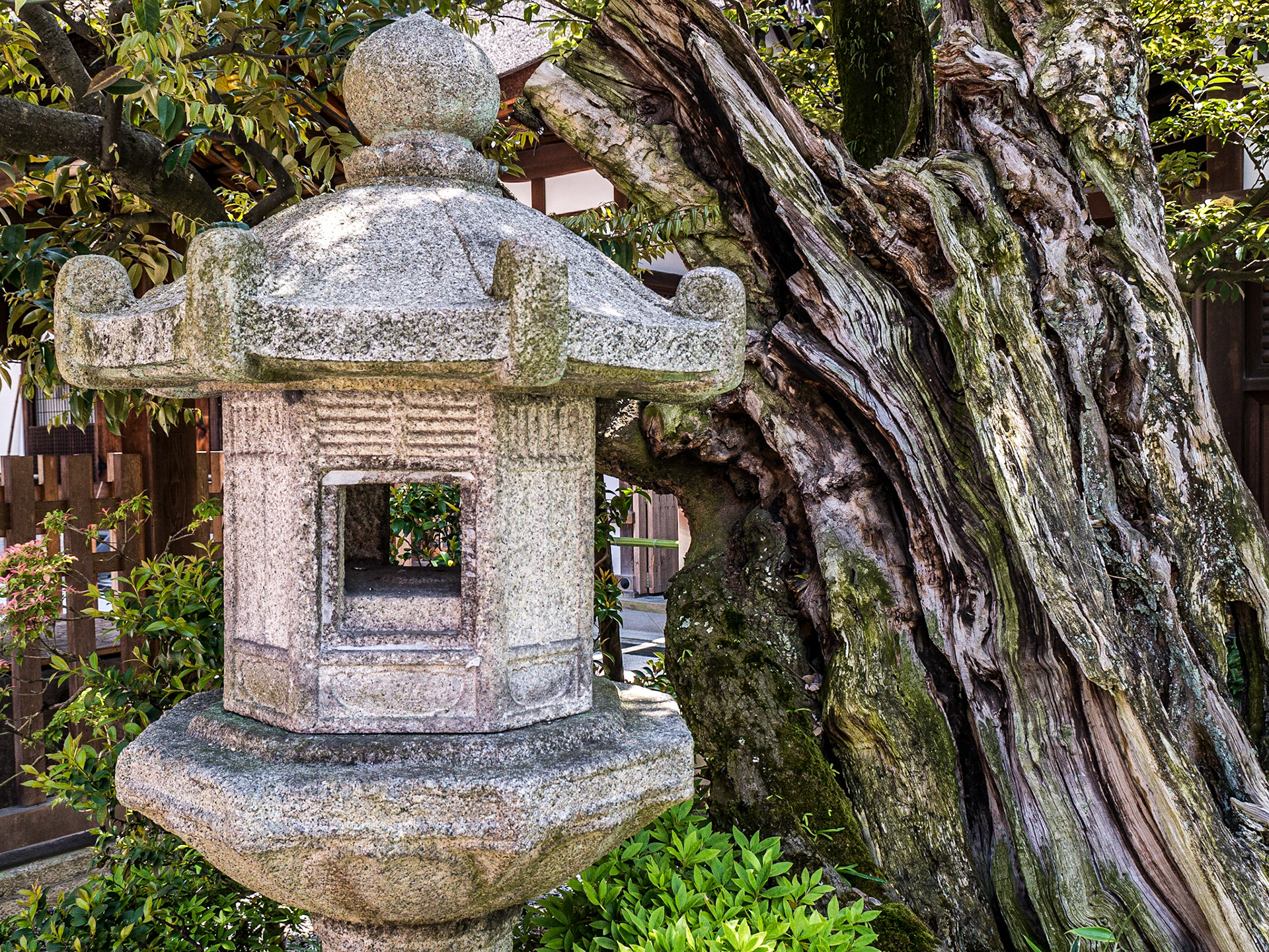 Fushimi Inari-taisha, Kyoto, 26 Apr 2016