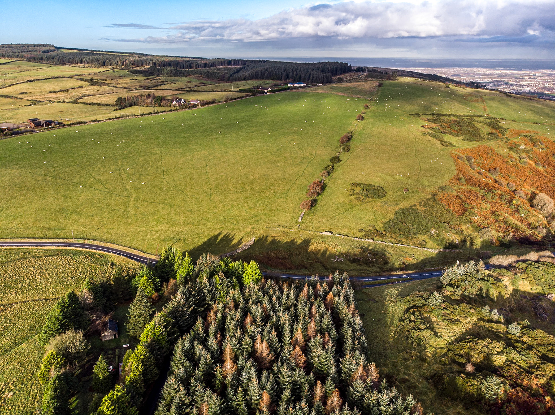 Ballinascorney, Co Dublin, 29 Nov 2019