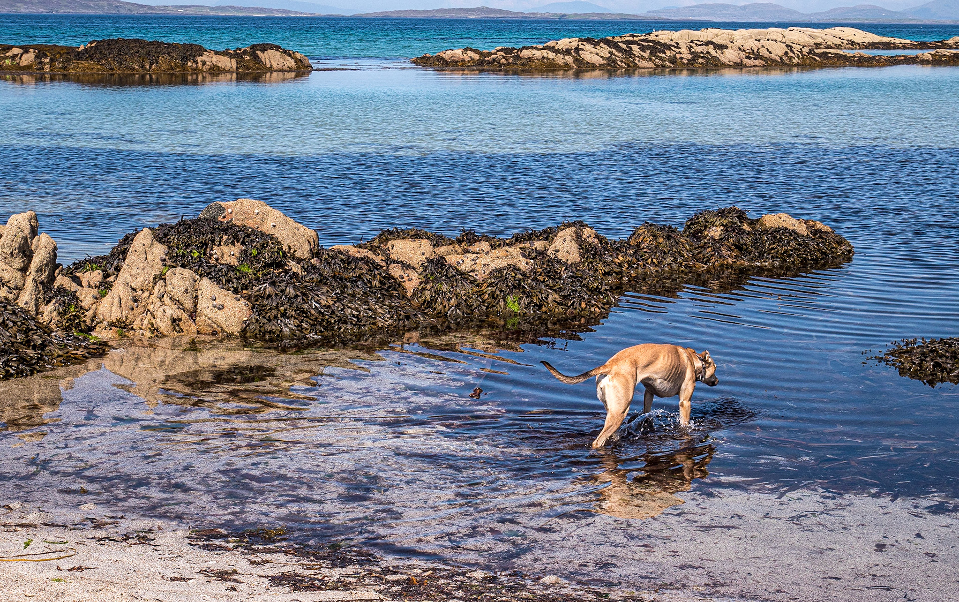 Anchor Beach, Aughrus Peninsula, Connemara, 1 Sep 2022