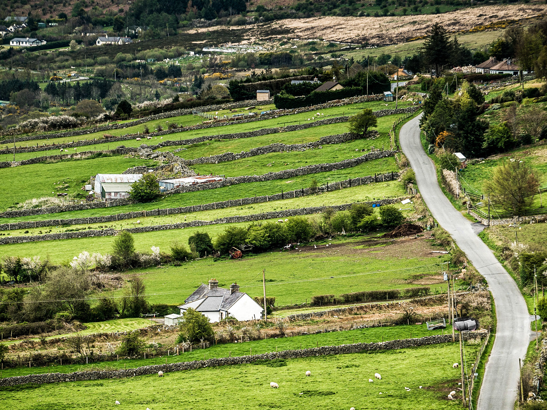 Ballyknockan, Co Wicklow, 18 Apr 2017