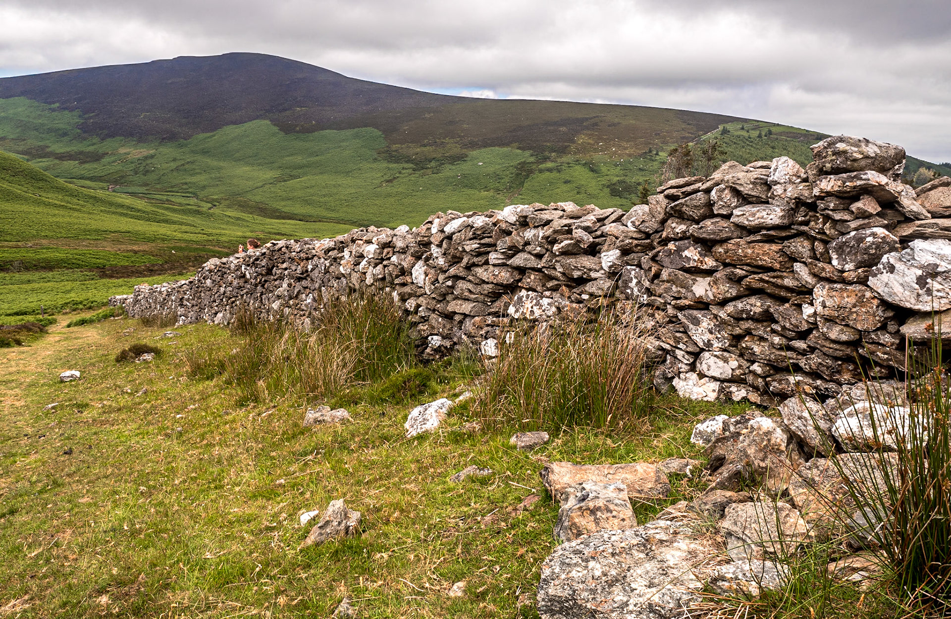 Djouce Woods walk, Co Wicklow, 14 Jul 2019