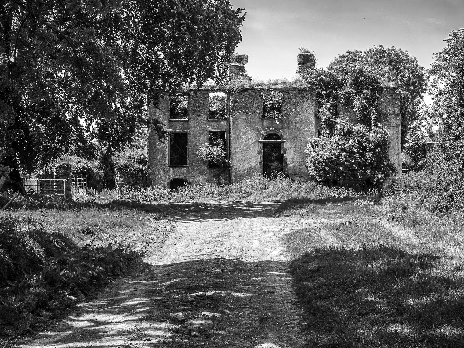 Battlemount House ruin, Co Kildare, 30 May 2023