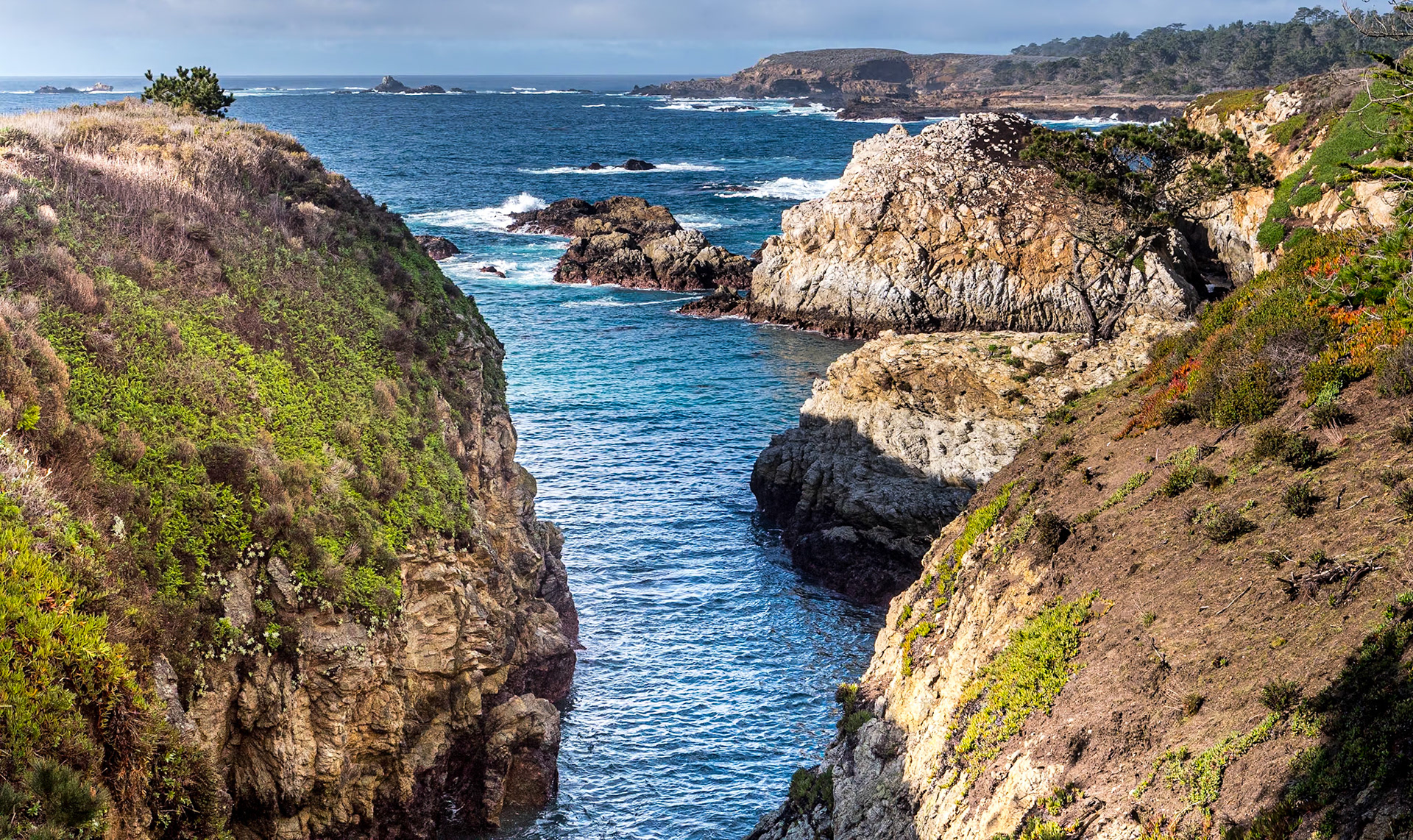 Point Lobos State Natural Reserve, California, 22 Jan 2024