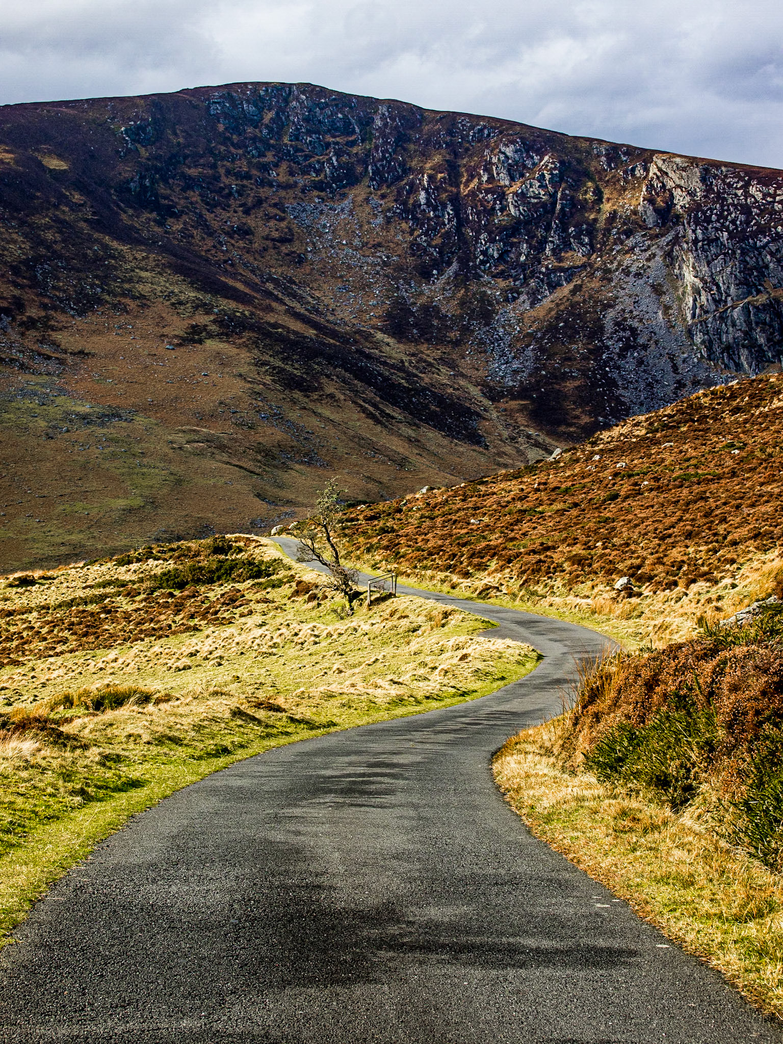 Near Lough Tay, Wicklow mountains, 9 Mar 2014