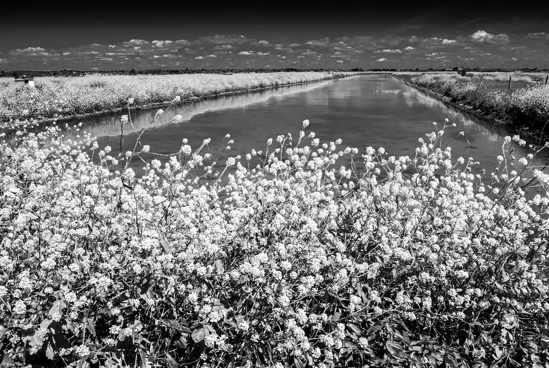 Lilleau des Niges, Île de Ré, France, 1 May 2018