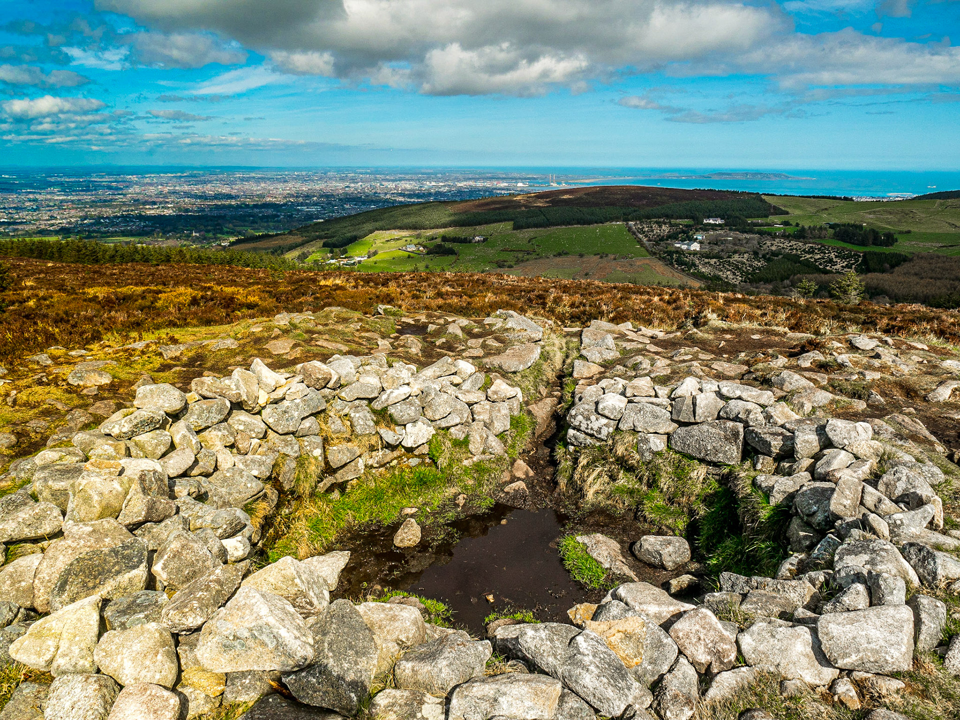 Tibradden Mountain, Co Dublin, 2 Apr 2017