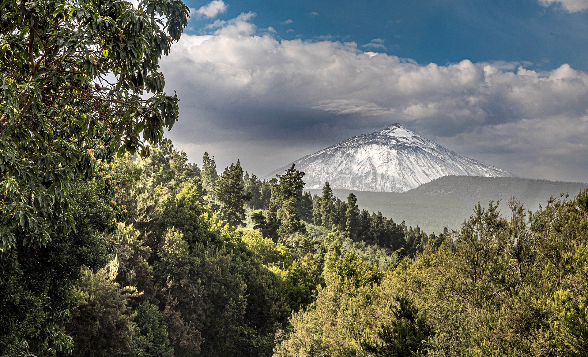 Mount Tiede from Mirador de Mataznos, Tenerife, 1 Feb 2022