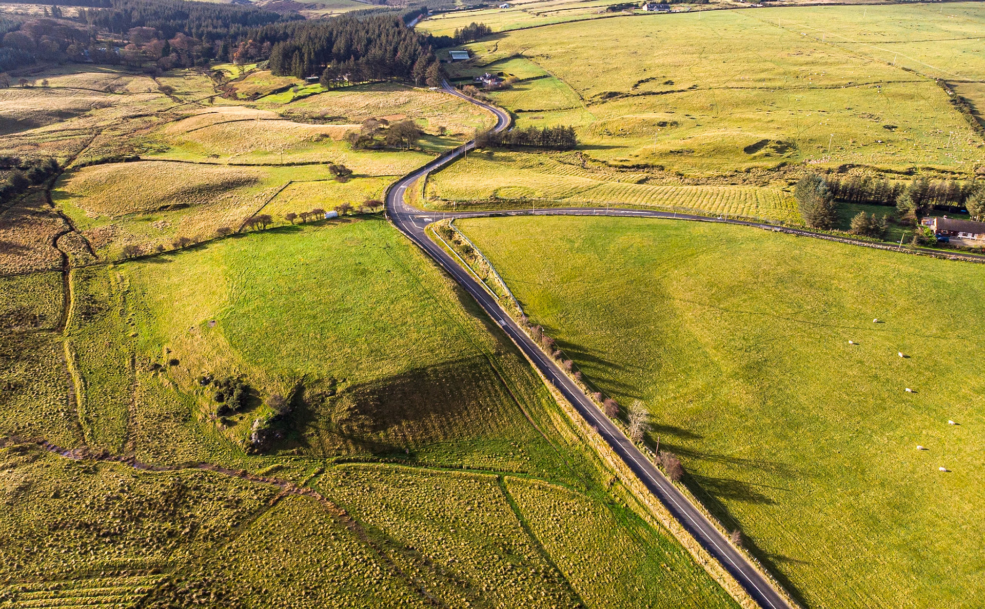Ballinascorney, Co Dublin, 29 Nov 2019