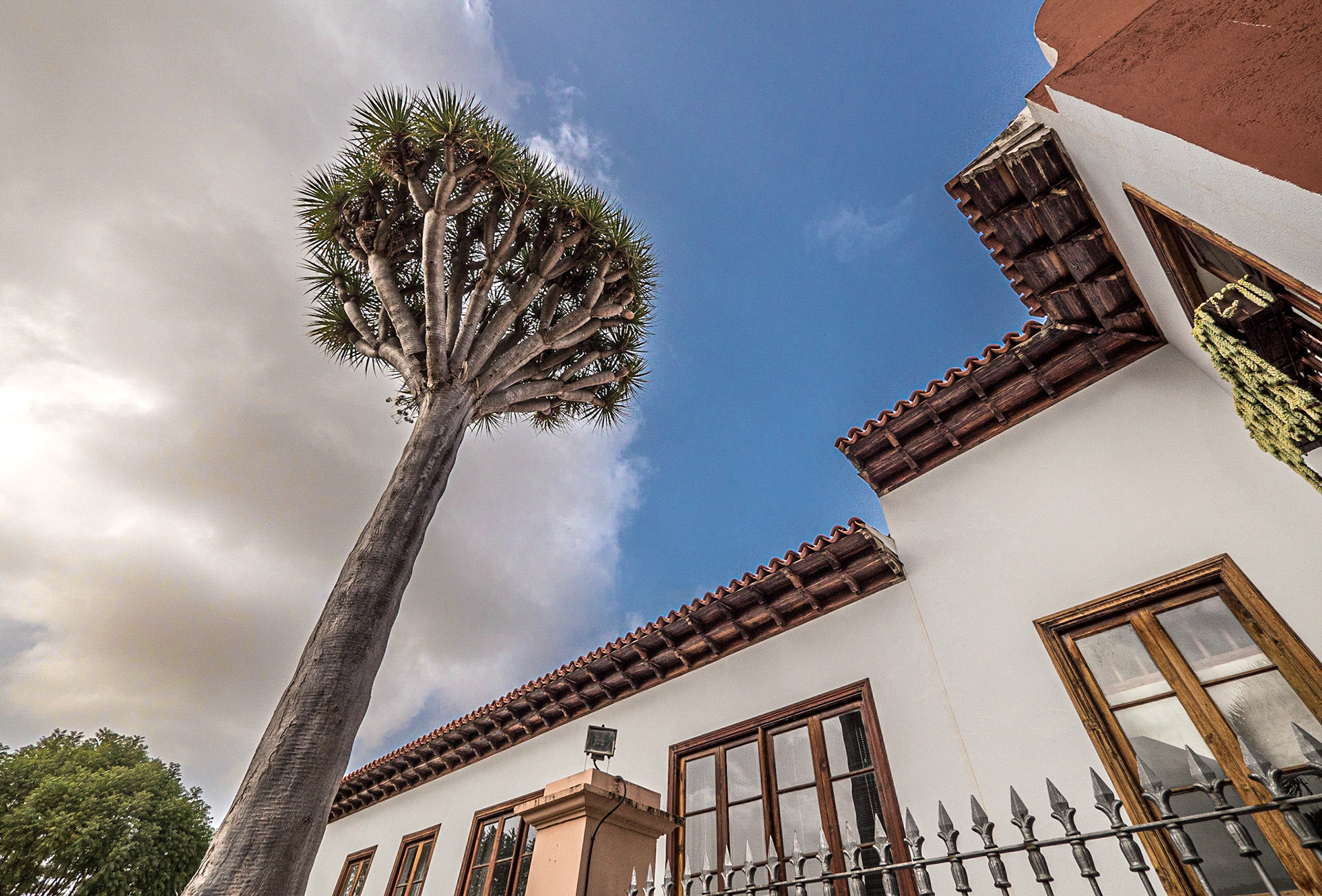 Garden of Liceo de Taoro, La Orotava, Tenerife, 30 Jan 2022