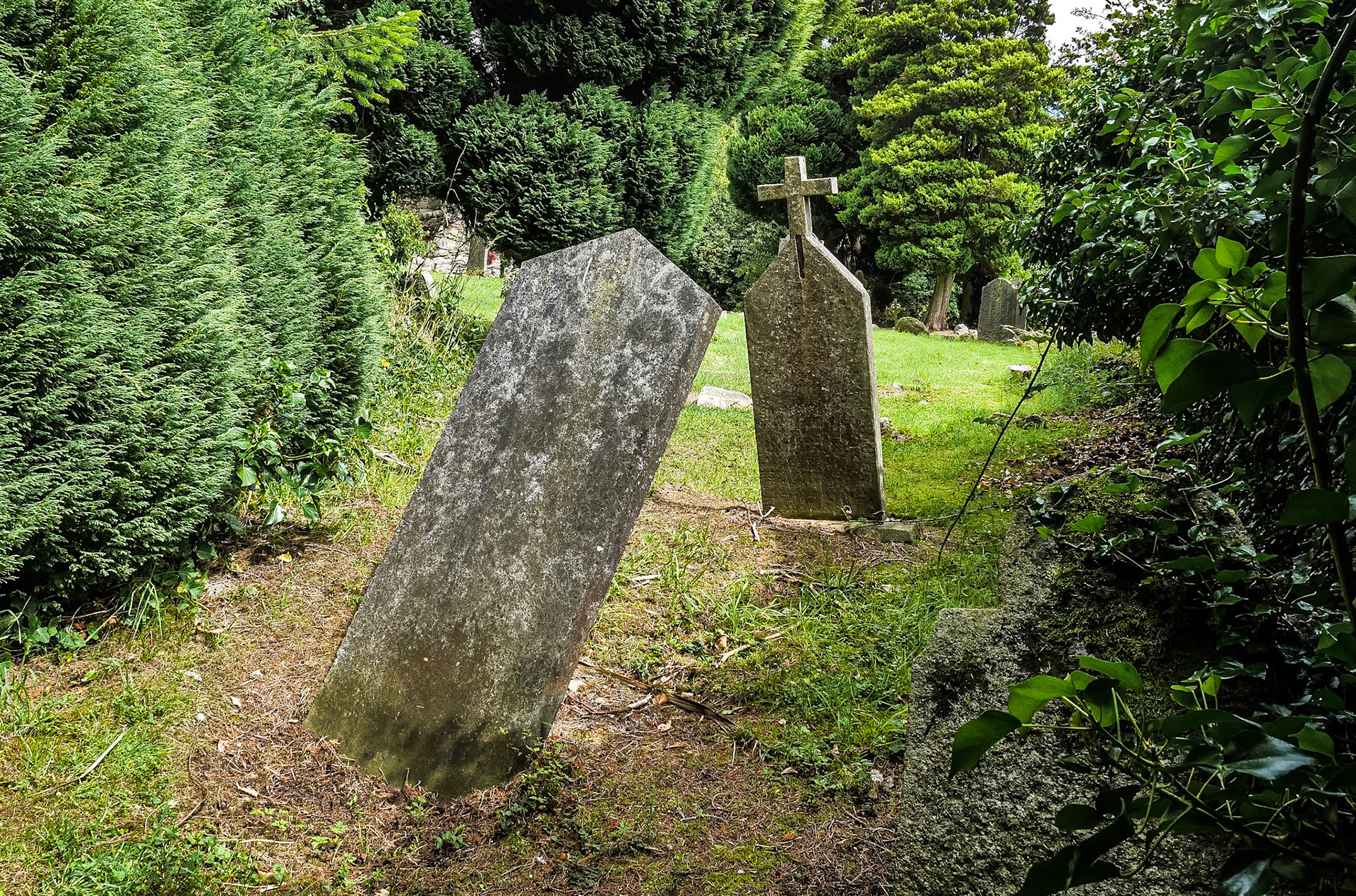 Rathmichael burial ground, Dublin, 29 Jul 2015