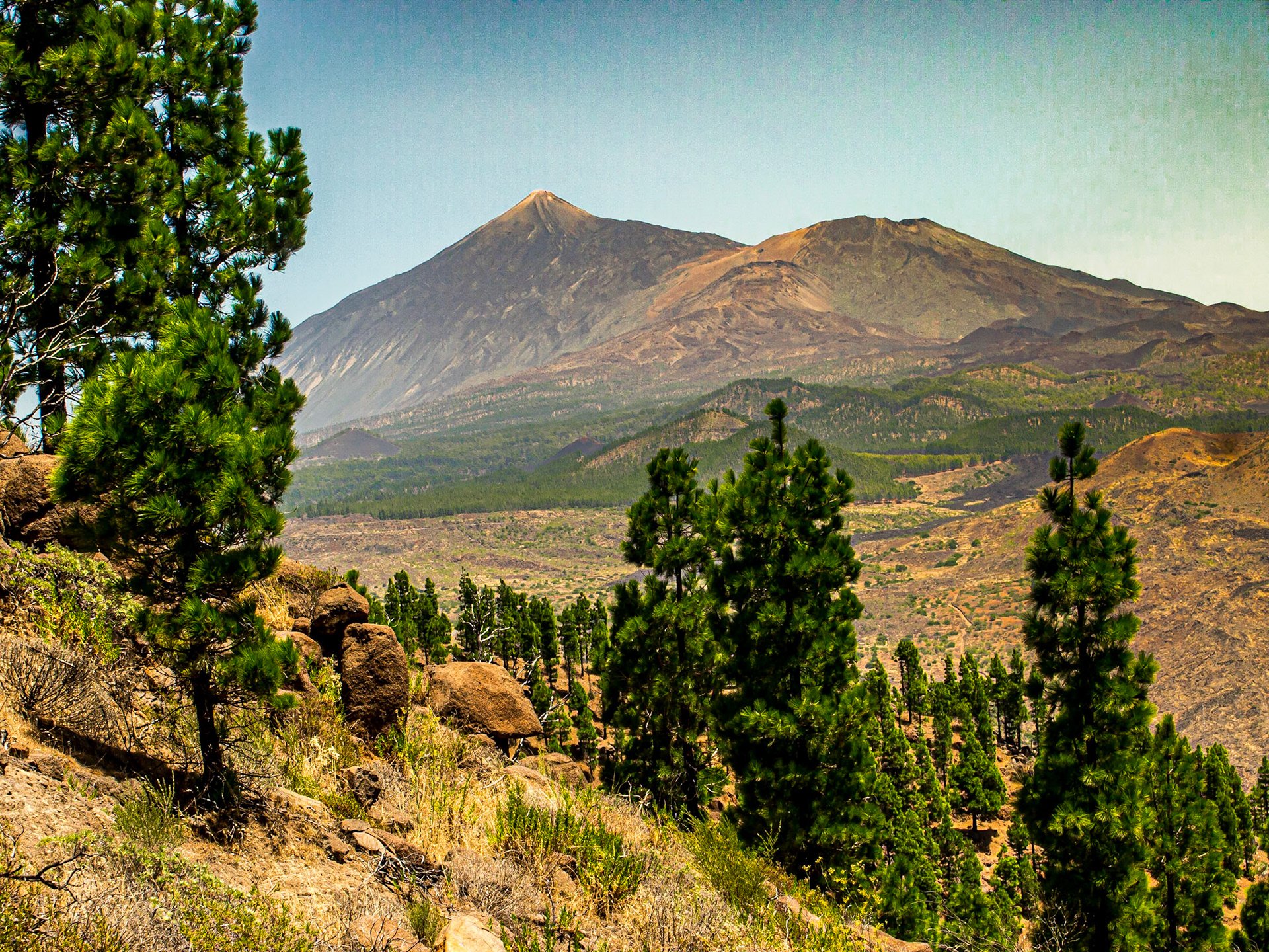 Walk near Santiago del Teide, with view of Mount Teide, 17 Aug 2013