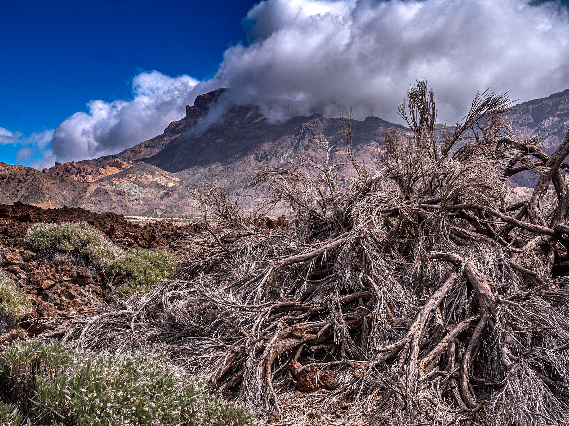 By Zapata de la Reina, Tenerife, 20 Feb 2023