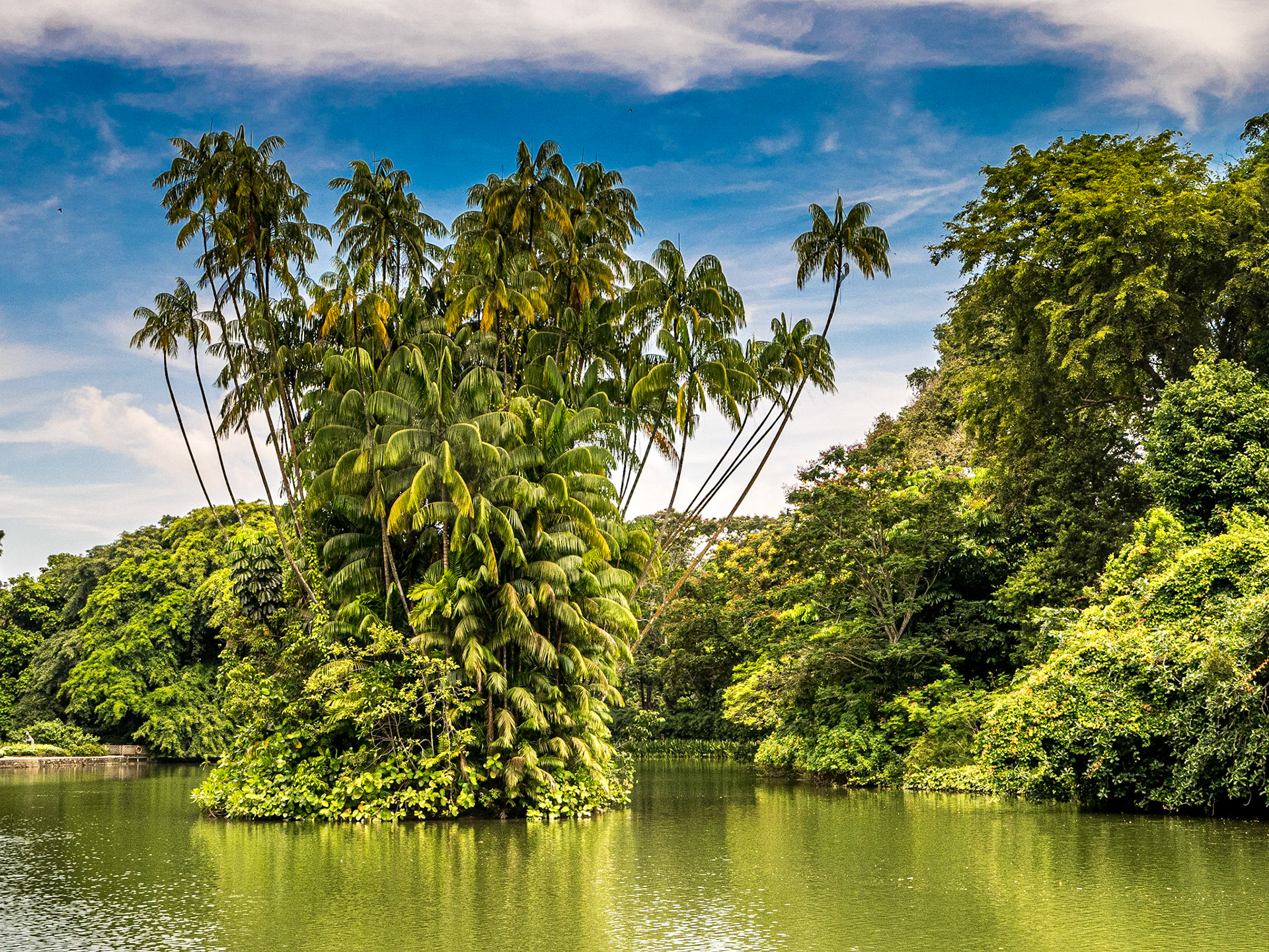 Singapore Botanic Gardens, 5 Jun 2017