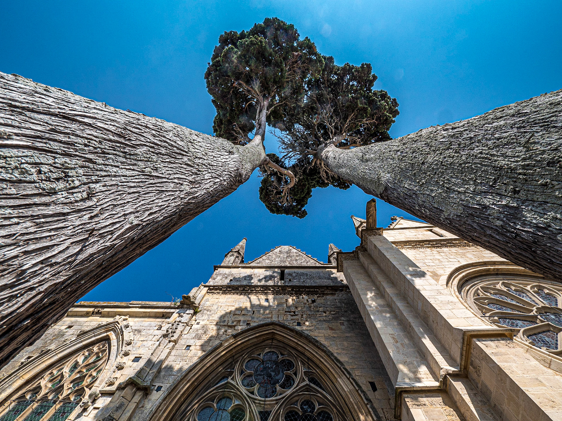 Église Notre-Dame, Dives-sur-Mer, Normandy, 14 Sep 2019
