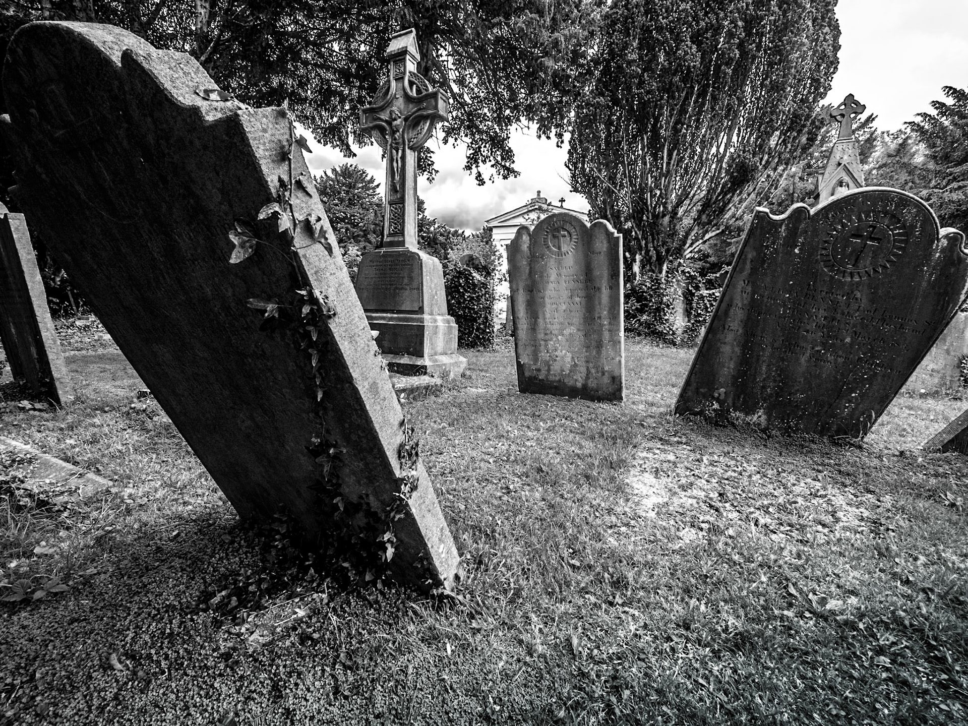 Goldenbridge Graveyard, Dublin, 2 Jul 2019