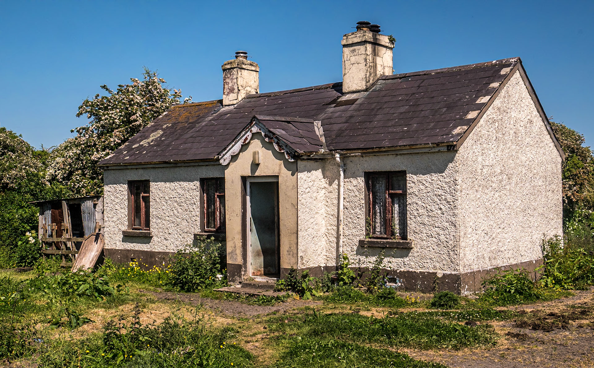 Near Crookstown, Co Kildare, 30 May 2023