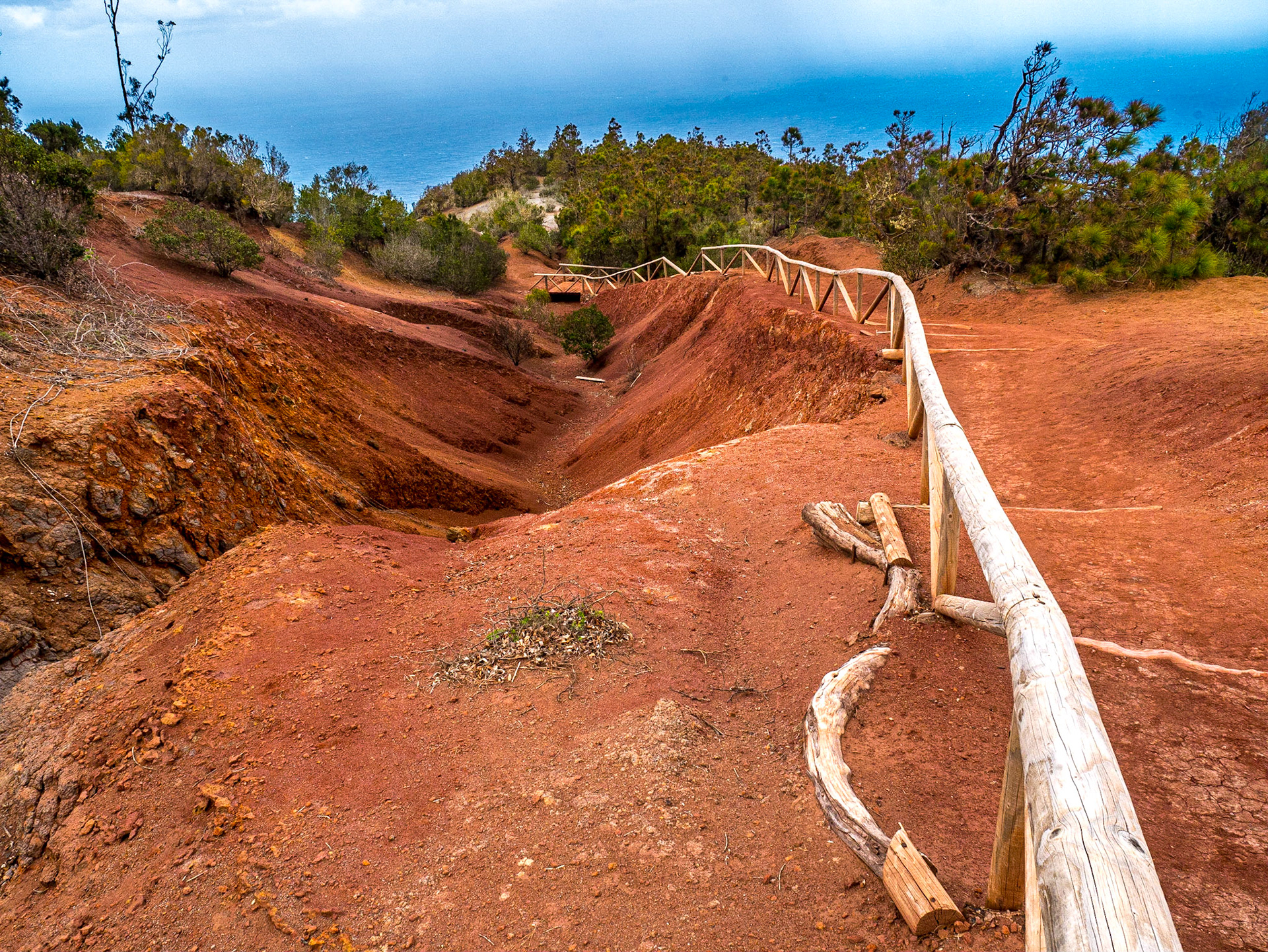 Near Mirador de Abrante, Agulo, La Gomera, 28 Jan 2018