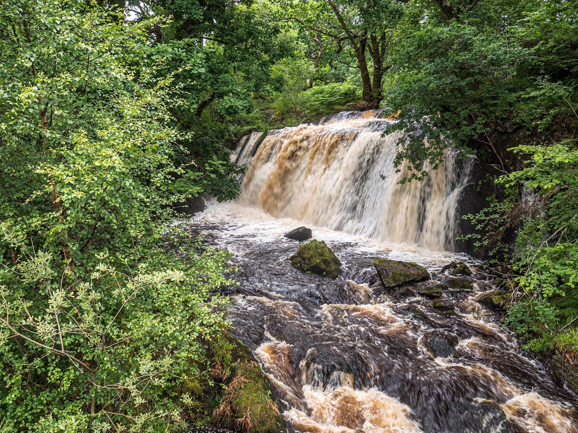 Near Pontsonachan, Scotland, 7 Jul 2023