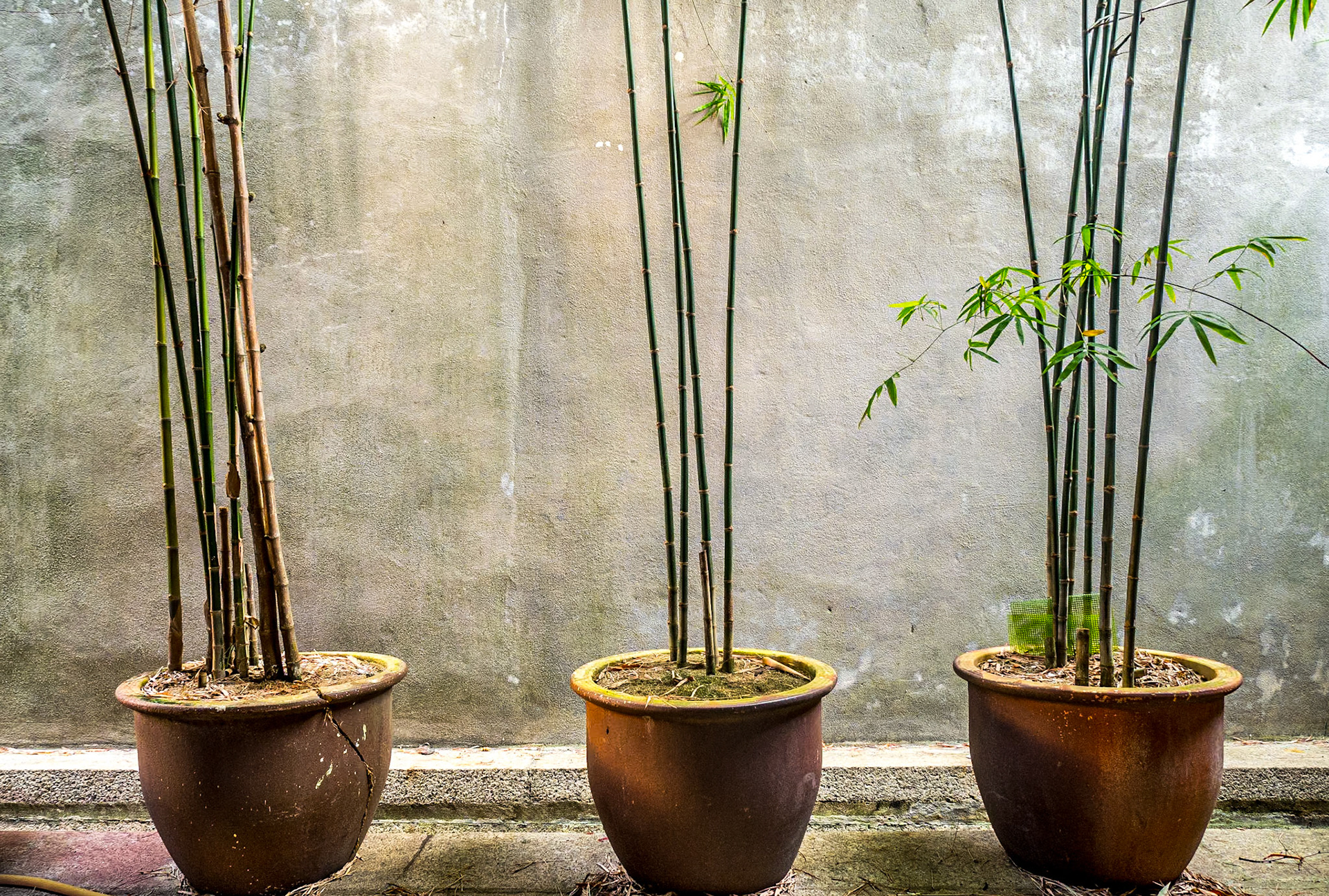 Khoo Kongsi clanhouse, Georgetown, 9 Jun 2017