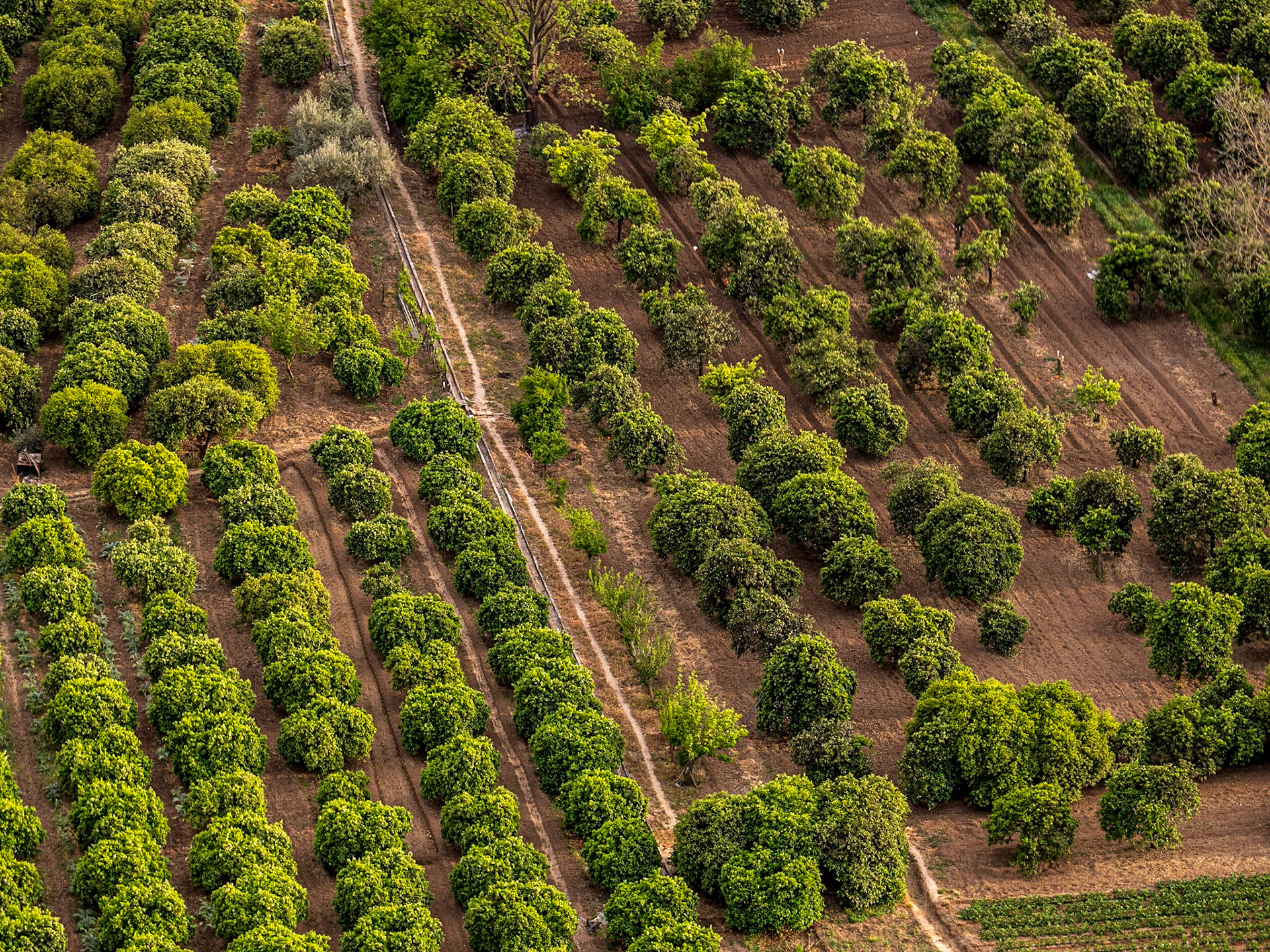 From the Mirador of Parador de Arcos de la Frontera, Spain, 12 Apr 2023